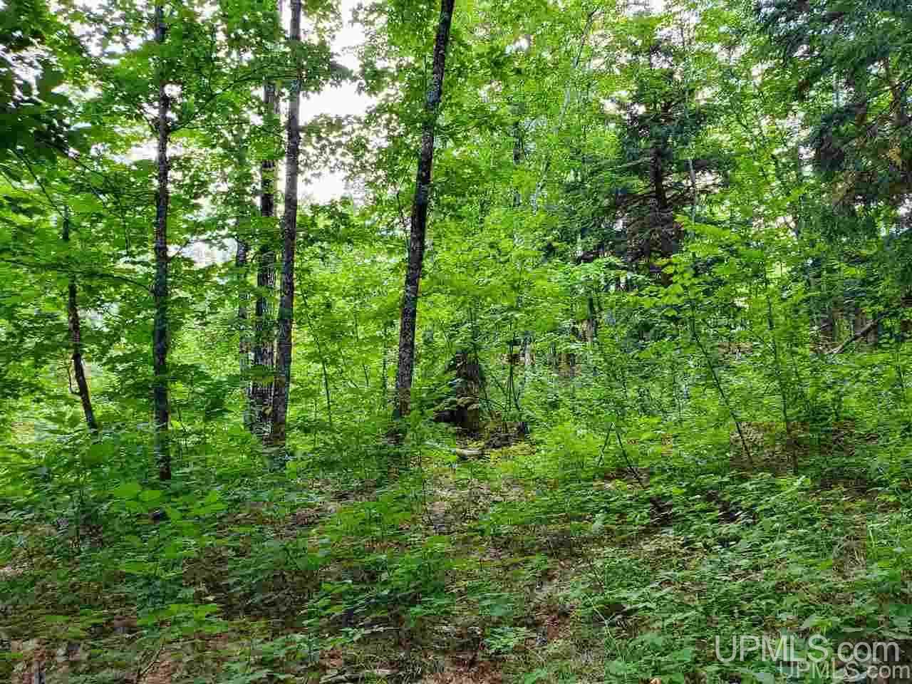 Tbd Tbd Holyoak Negaunee, MI 49866 - Photo 2 of 10