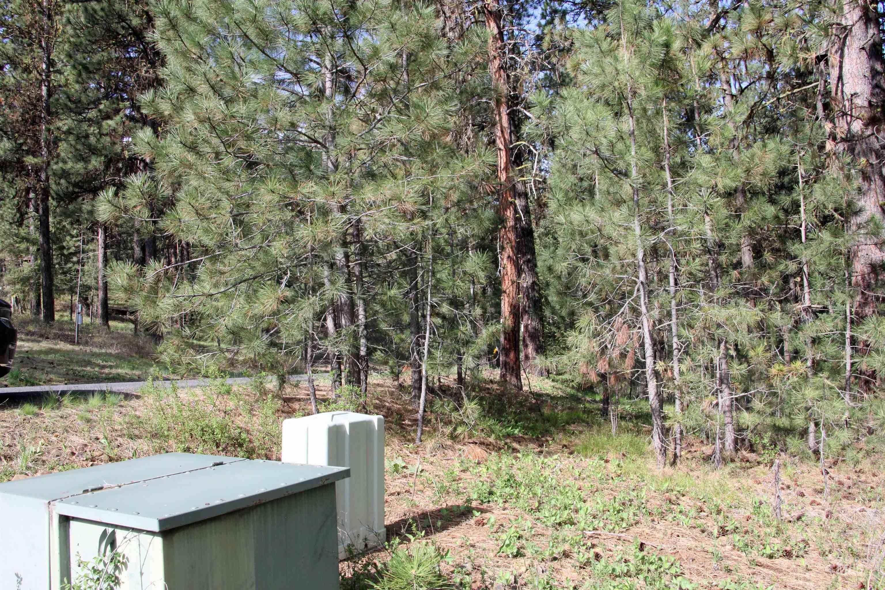 Lot 6 Hot Springs Road New Meadows, ID 83654 - Photo 2 of 11