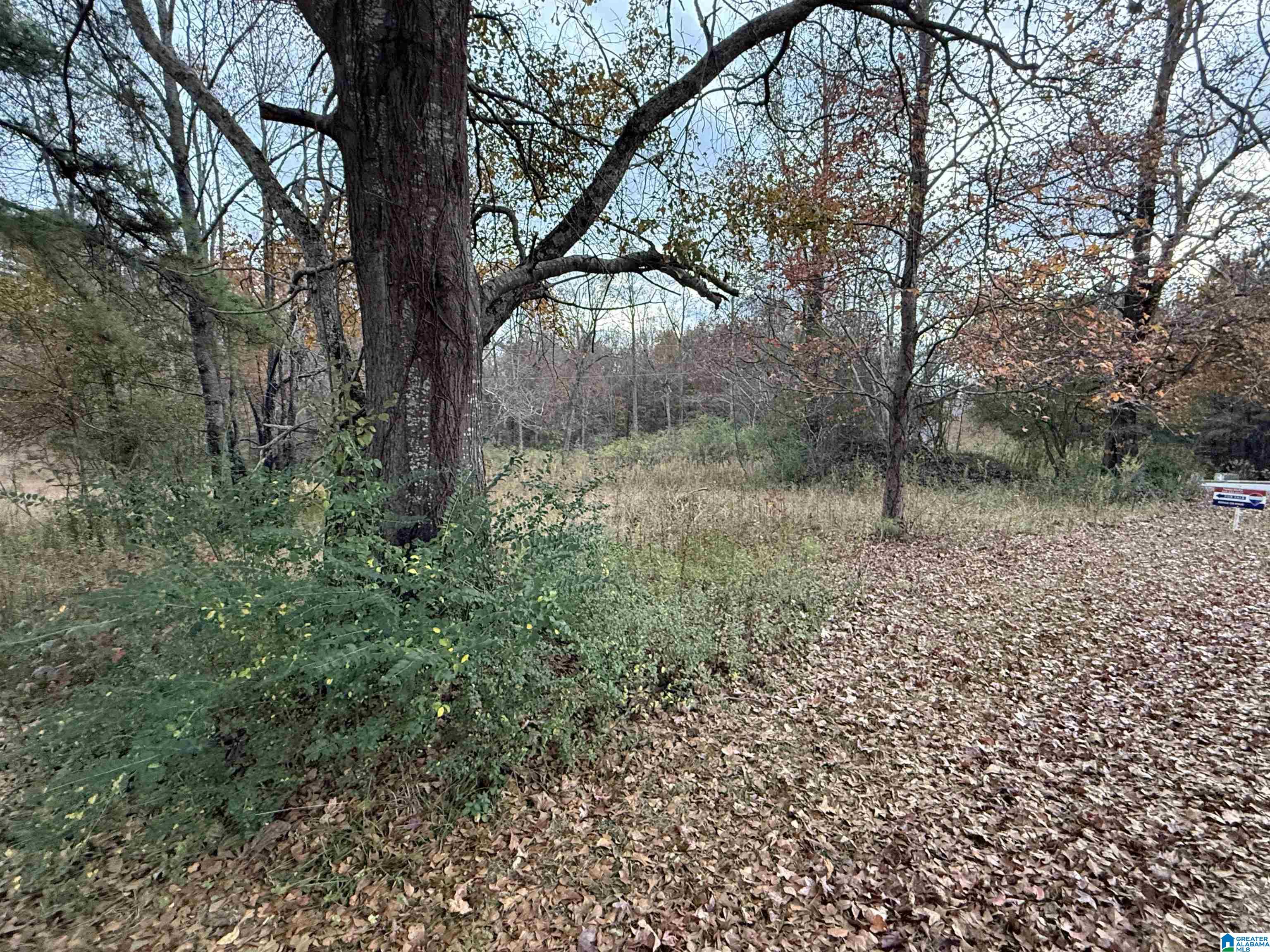 4 Springs Cove Road, Unit 4 Warrior, AL 35180 - Photo 3 of 7