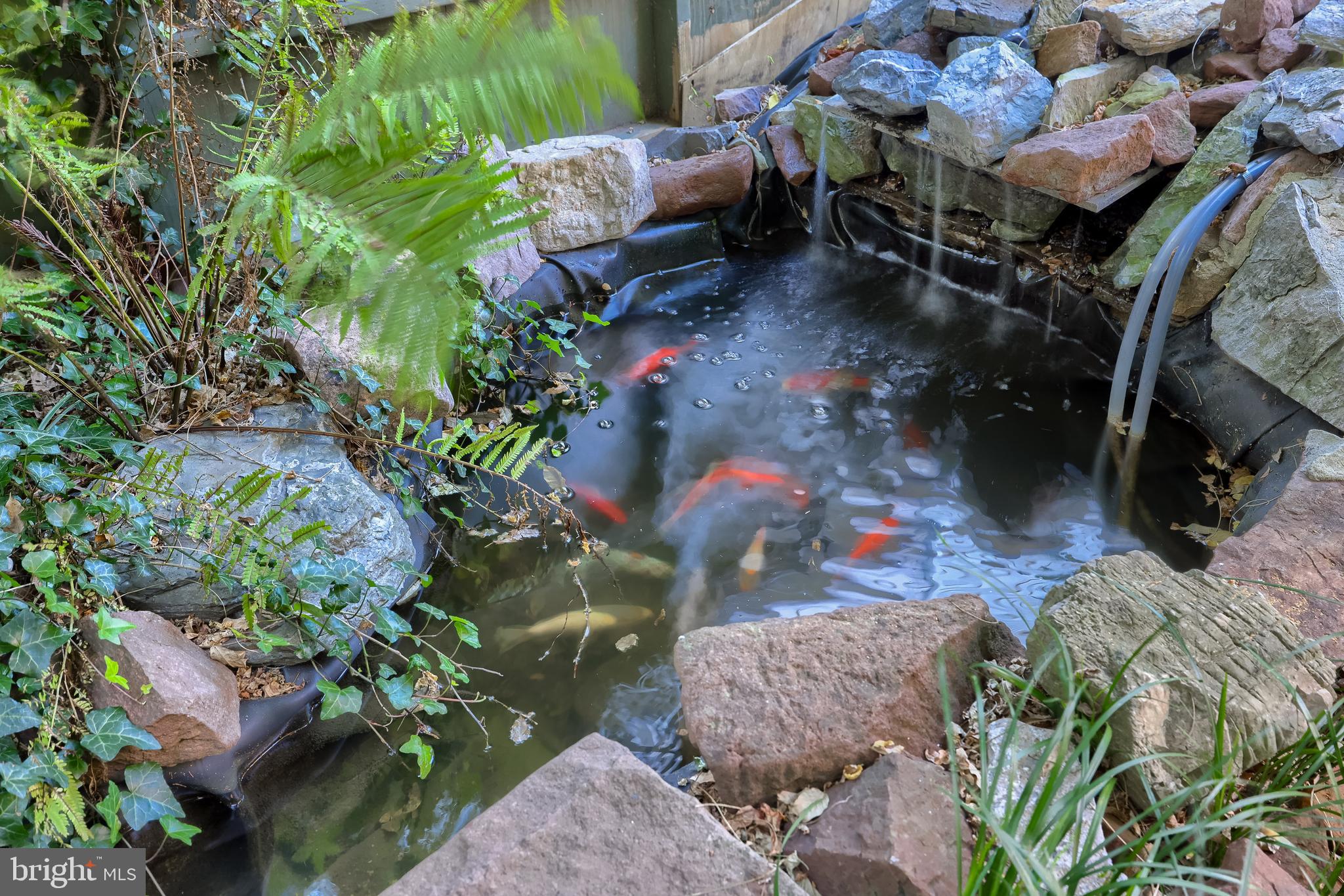 2 South Charlotte Street Manheim, PA 17545 - Photo 26 of 88 a backyard of a house with lots of green space