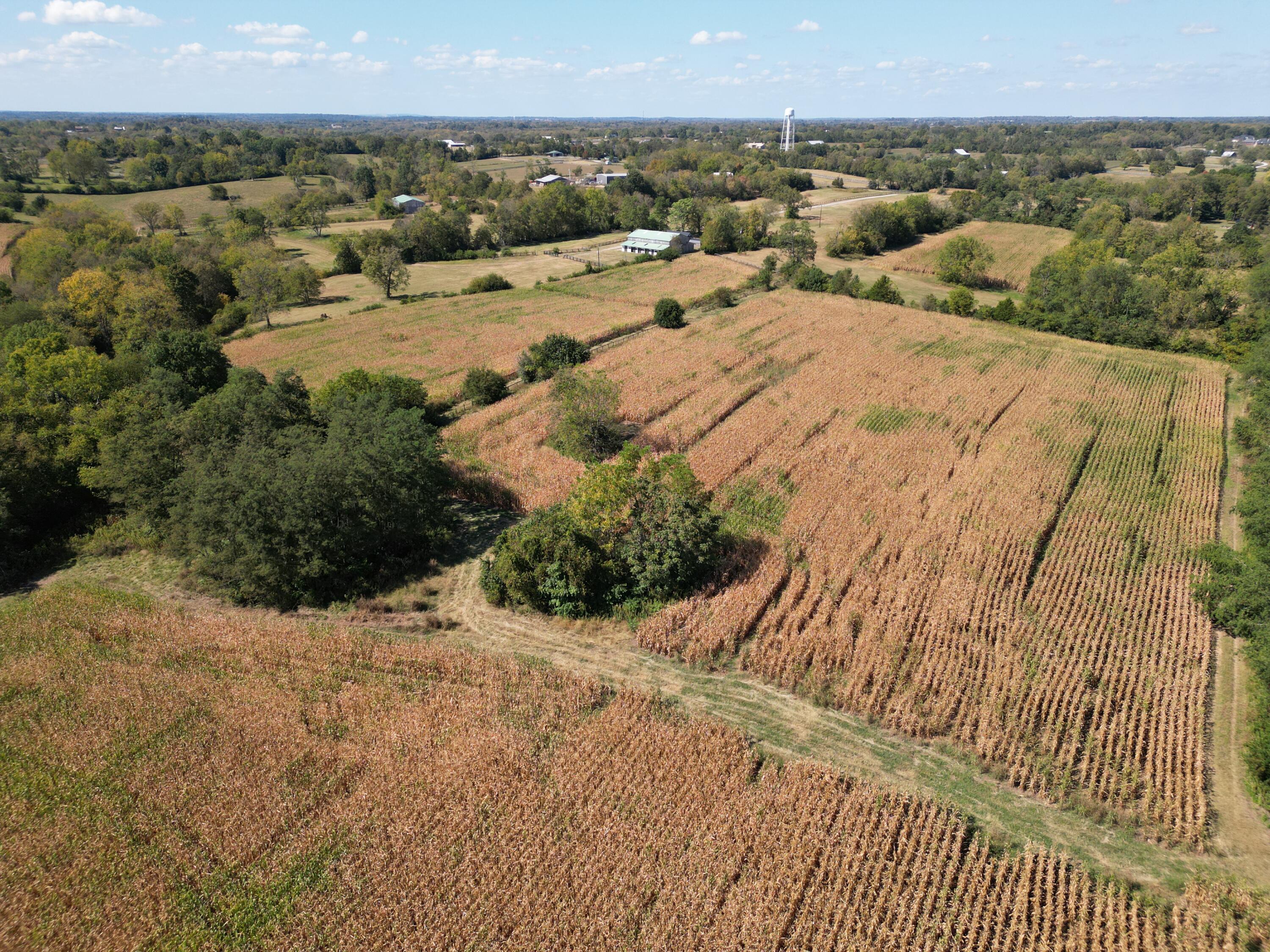 605 Delaney Ferry Road Versailles, KY 40383 - Photo 10 of 36 DJI_0117