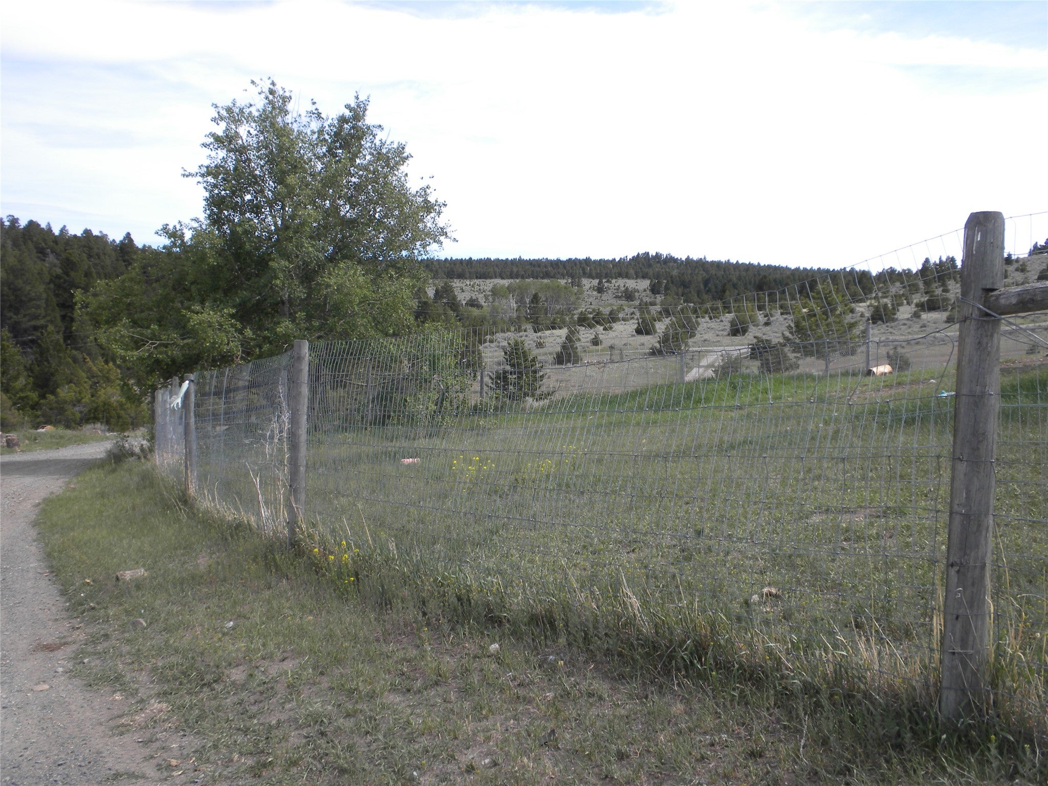 49 Cedar Crest Road Whitehall, MT 59759 - Photo 9 of 21 Gallery Image 9