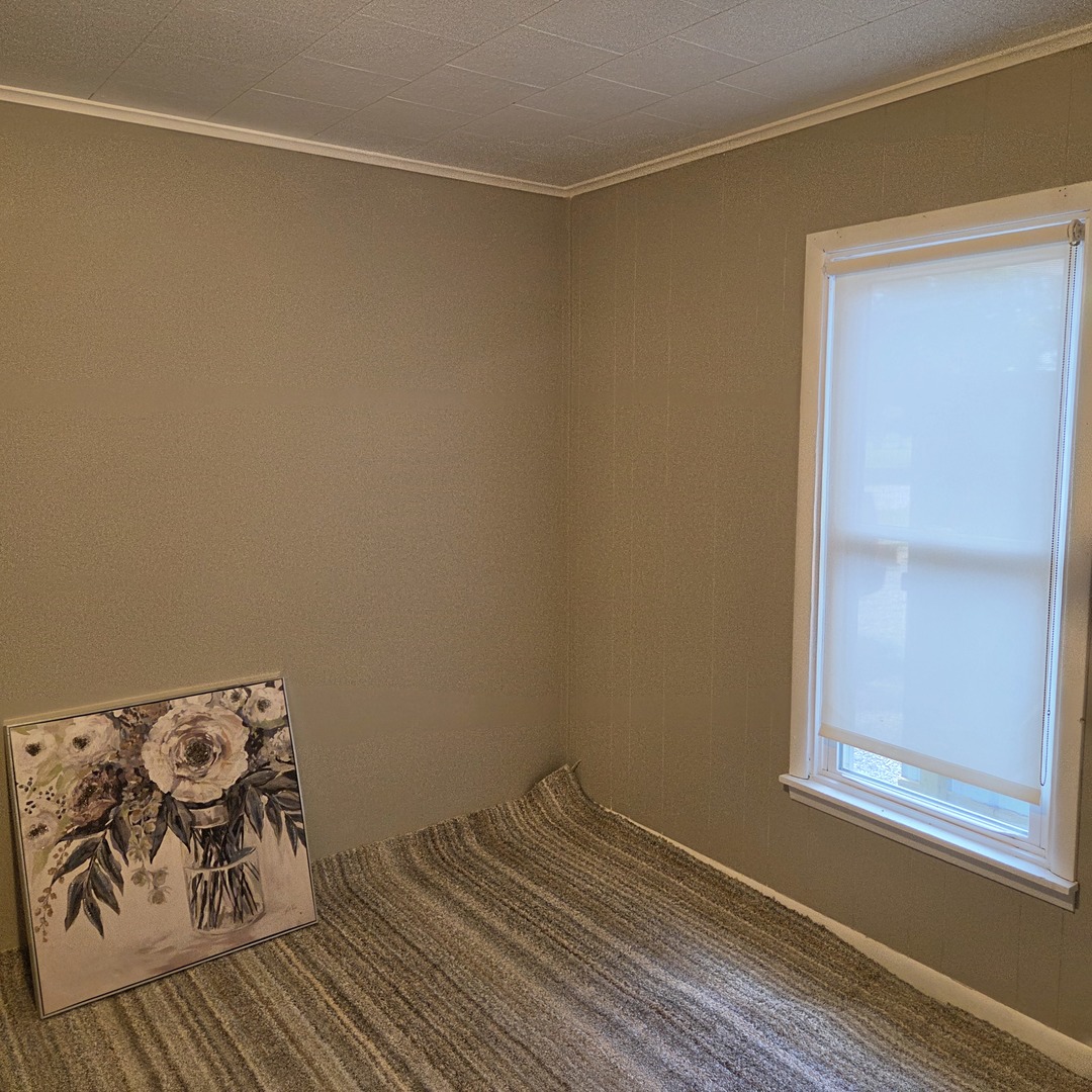 903 South Walnut Street Sesser, IL 62884 - Photo 21 of 24