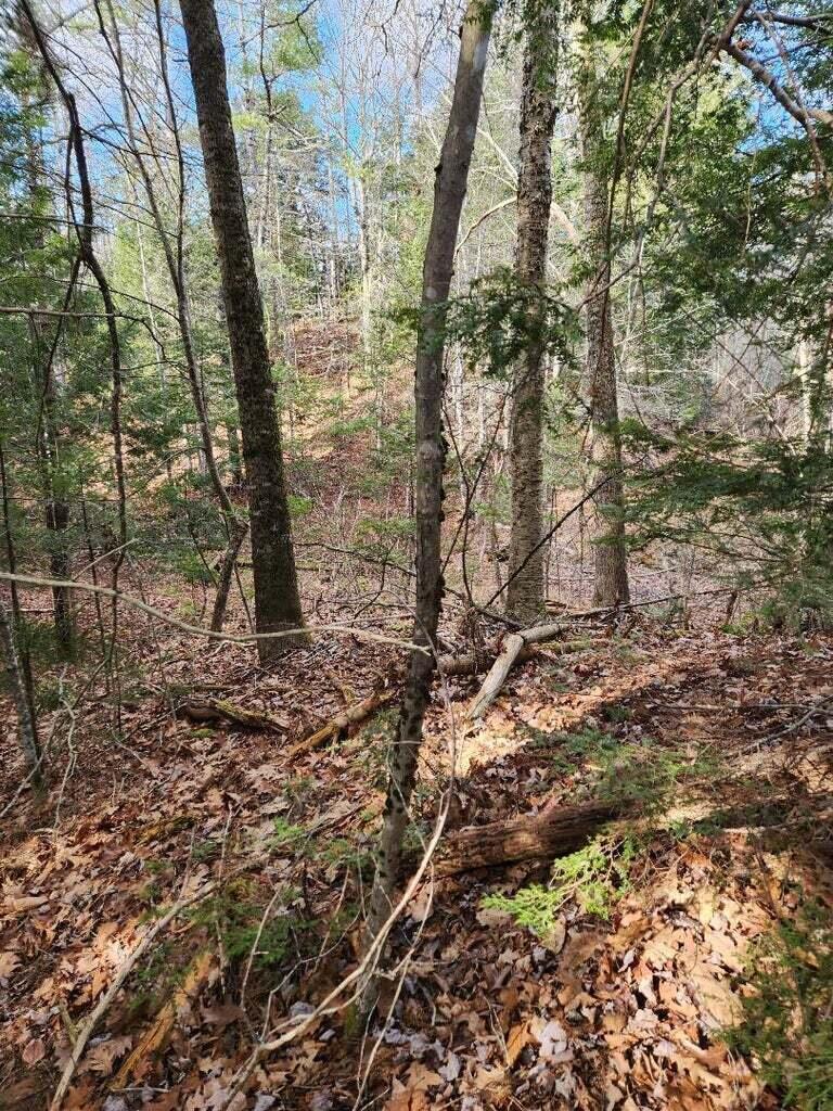 86 Oak Hill Road Belfast, ME 04915 - Photo 5 of 6 B 4