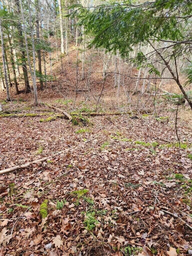 86 Oak Hill Road Belfast, ME 04915 - Photo 6 of 6 B 3