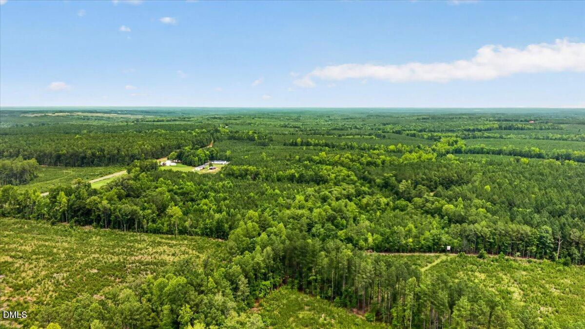 0 Blacks Road Macon, NC 27551 - Photo 17 of 22 17-DJI_20260715121945_0783_D