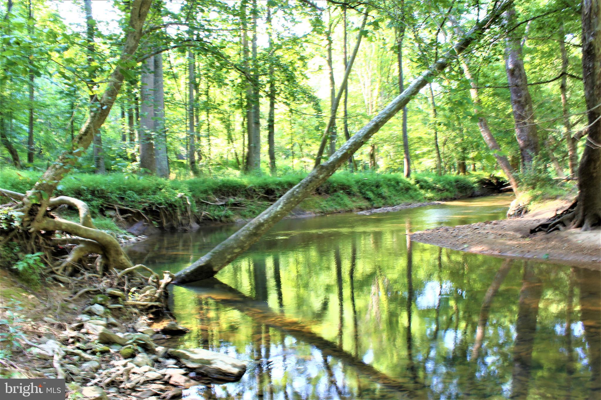 13609 Esworthy Road Darnestown, MD 20874 - Photo 11 of 61