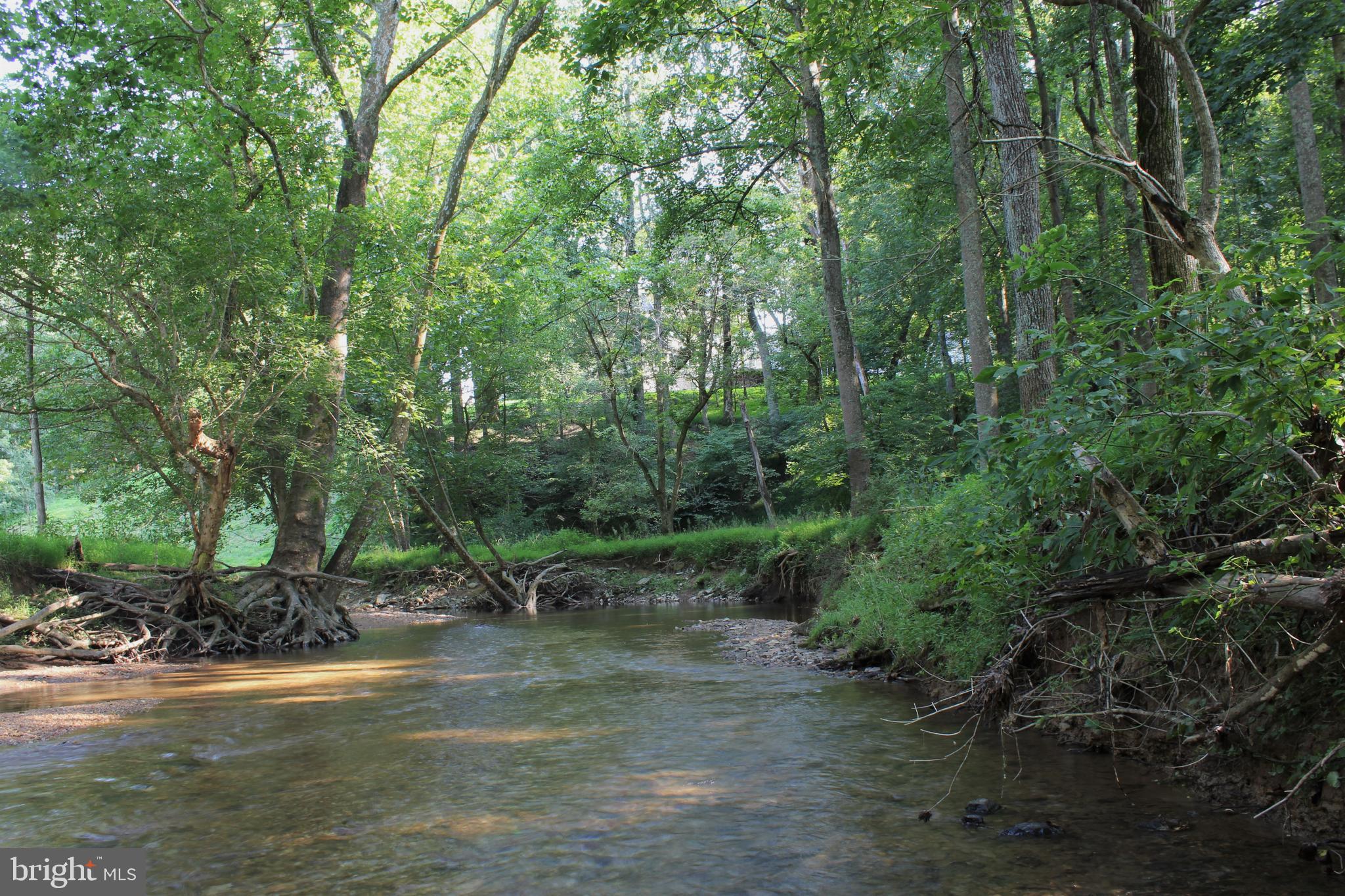13609 Esworthy Road Darnestown, MD 20874 - Photo 37 of 61 YOU'LL GET TO WATCH & HEAR THIS LOVELY STREAM!