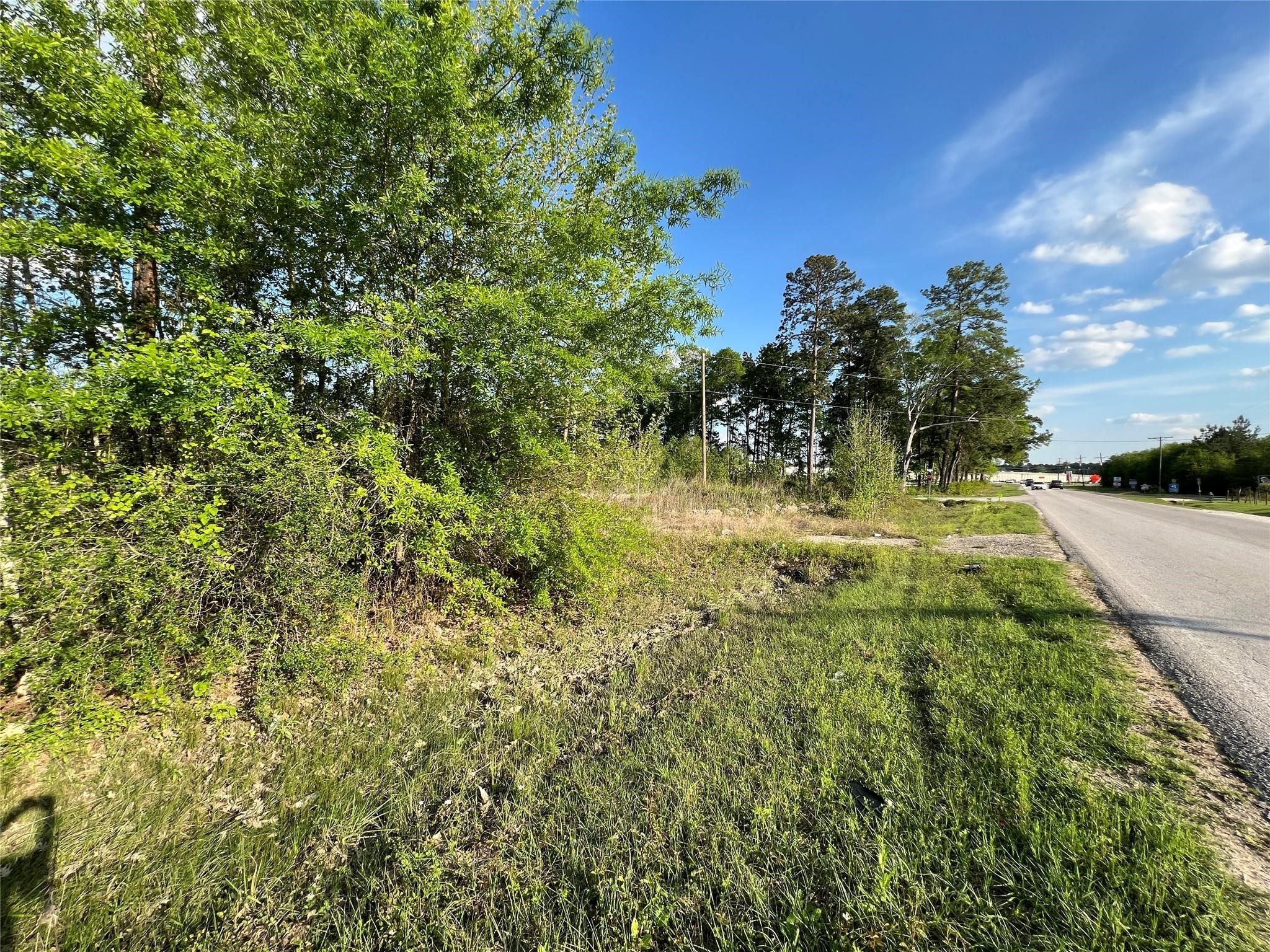 11785 Fostoria Road Cleveland, TX 77328 - Photo 2 of 5 a view of a yard