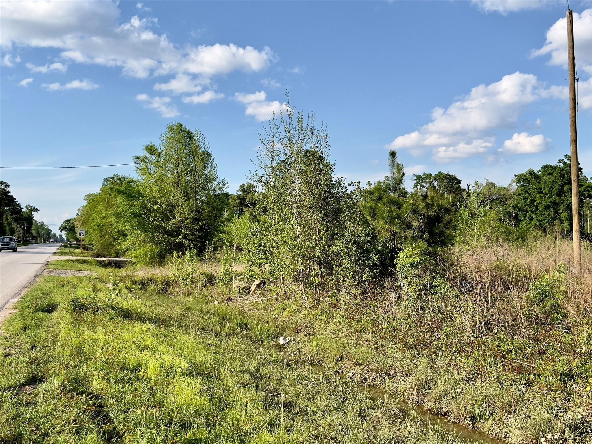 11785 Fostoria Road Cleveland, TX 77328 - Photo 3 of 5 a view of a bunch of trees and bushes