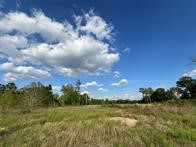 11785 Fostoria Road Cleveland, TX 77328 - Photo 5 of 5 a view of a lake