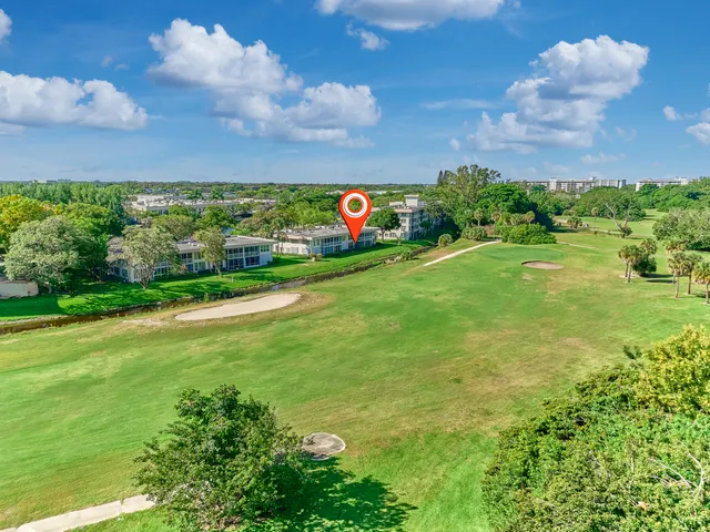 a view of a big yard with potted plants and a large tree