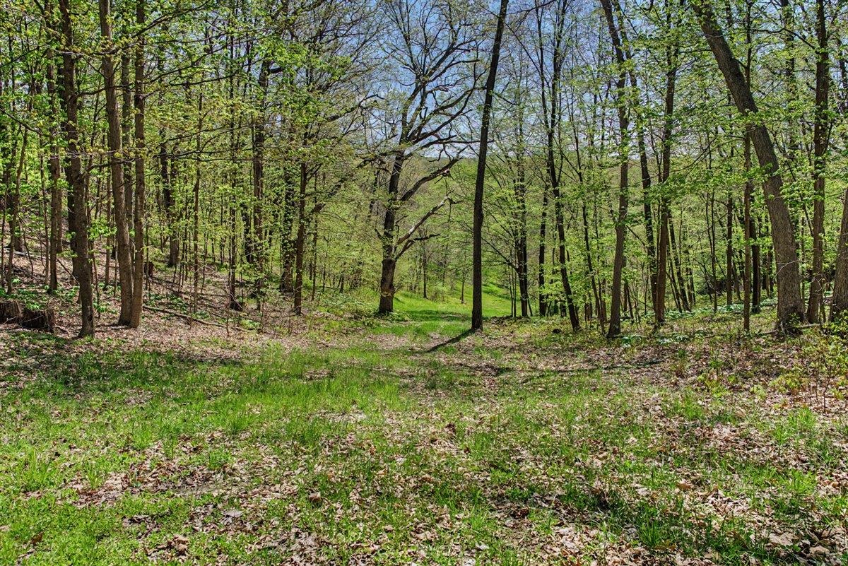 70-ac Harris Road La Farge, WI 54639 - Photo 43 of 67 Gallery Image 43
