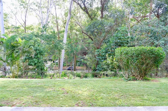 a view of a backyard with large trees