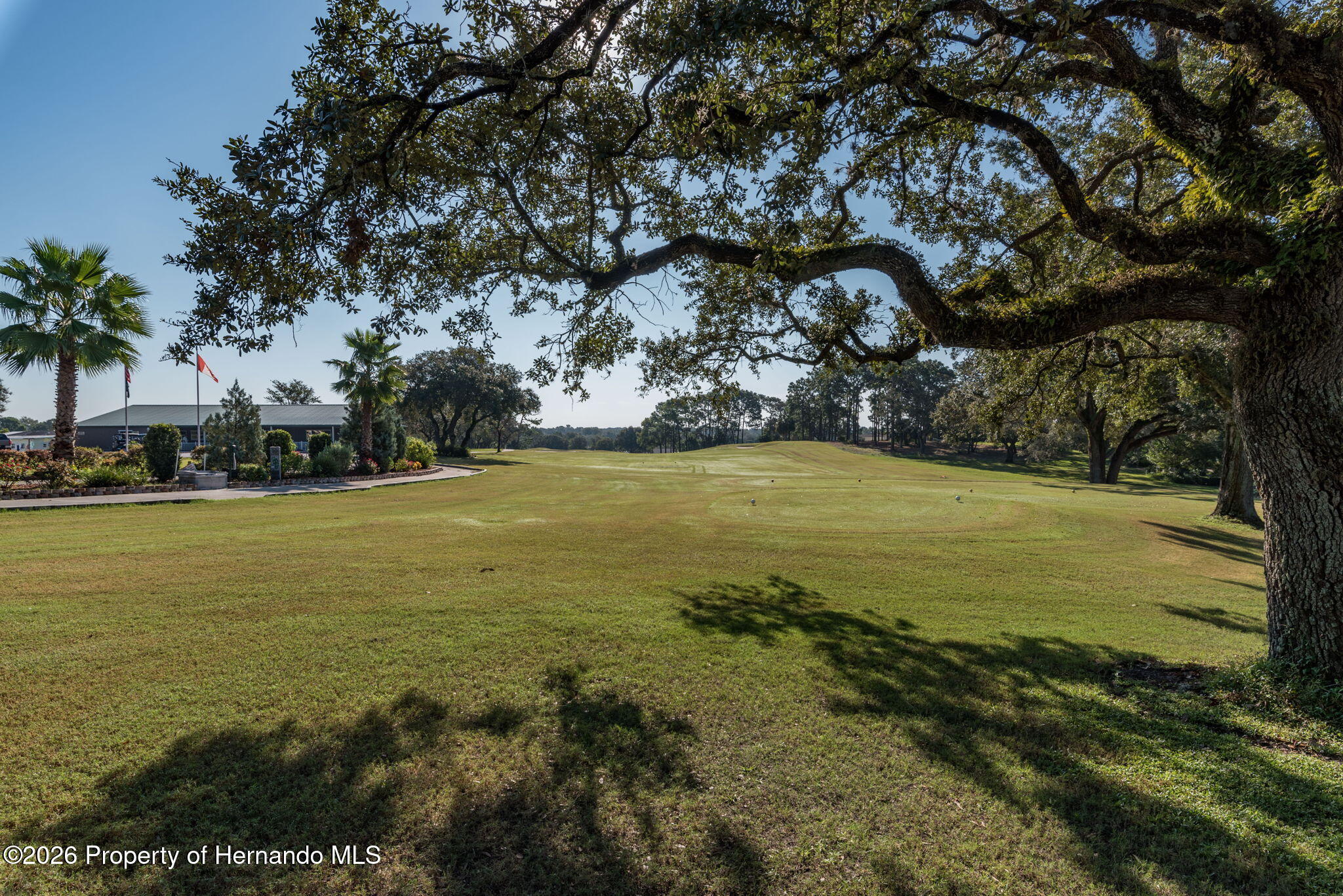 7340 Devine Avenue Brooksville, FL 34613 - Photo 53 of 56 53-web-or-mls-DSC_6562