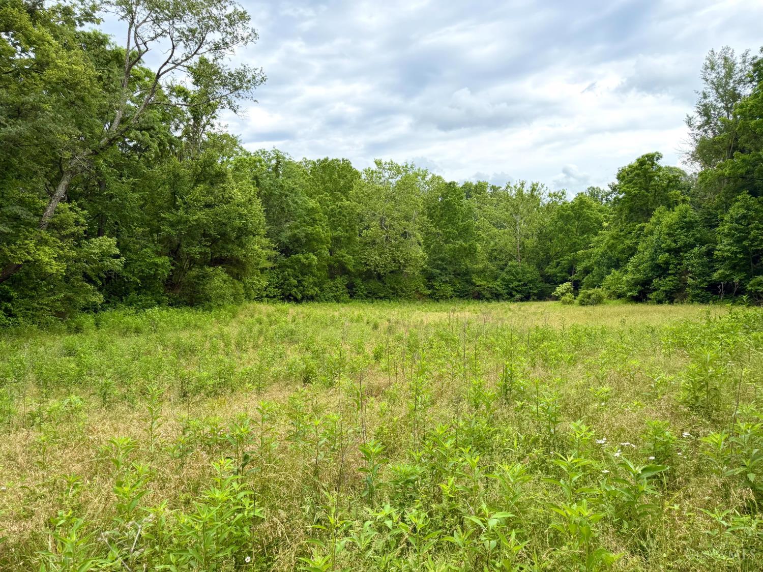 0 North Falls Road Bainbridge, OH 45612 - Photo 14 of 99