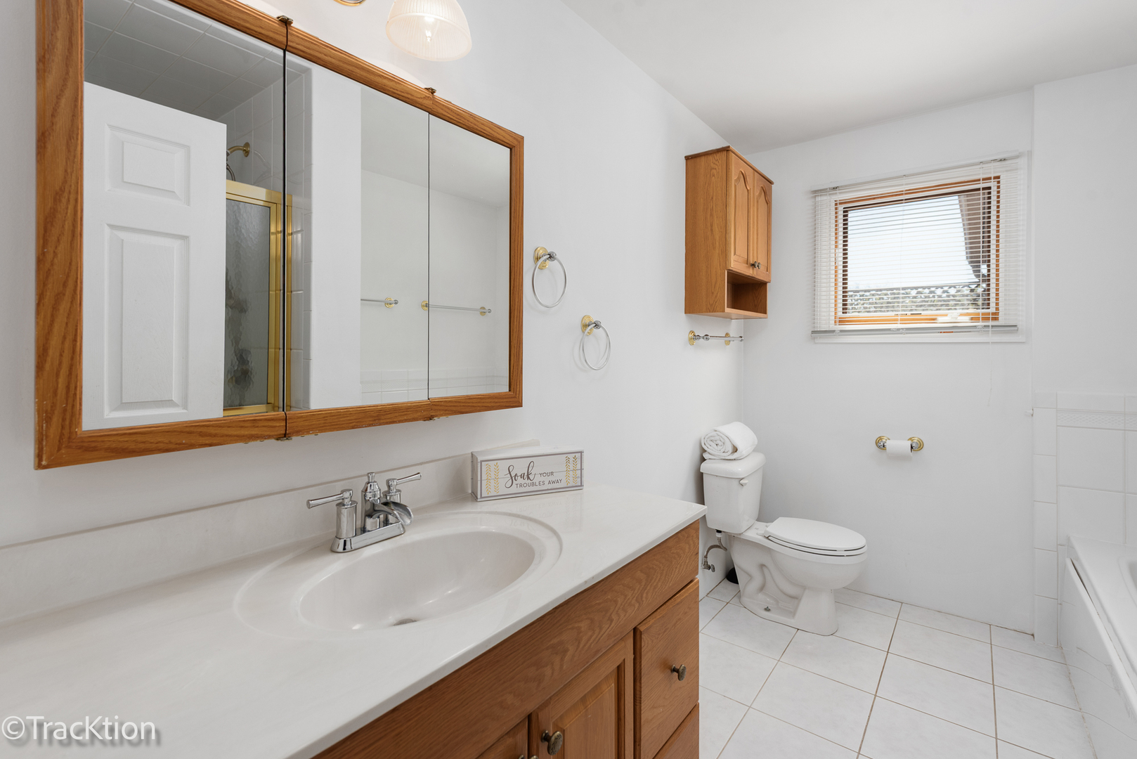 8829 Skyline Drive Burr Ridge, IL 60527 - Photo 8 of 32 a bathroom with a sink toilet and mirror