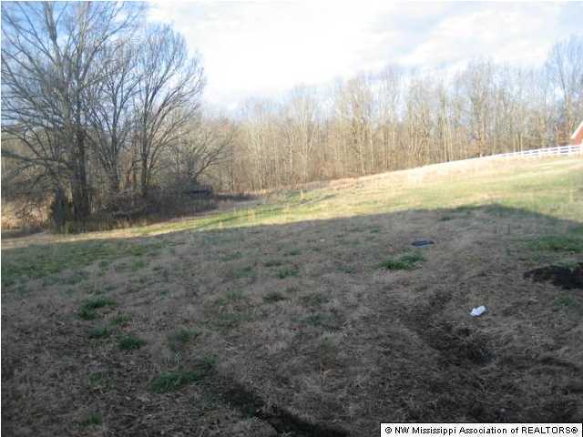 2359 Fogg Road South Hernando, MS 38632 - Photo 10 of 21 Additional Photo