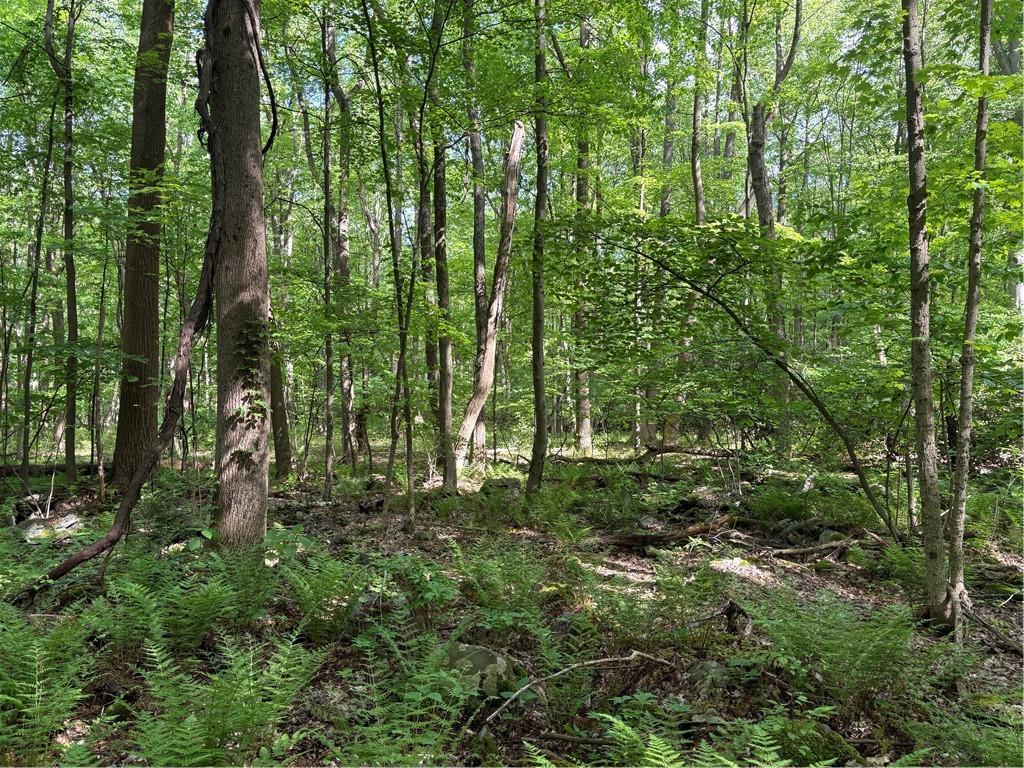 Lot 1 Cottonwood Road Acme, PA 15610 - Photo 8 of 25