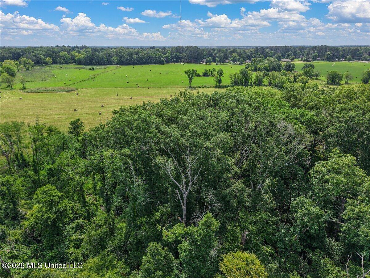0 Us-80 Forest Forest, MS 39074 - Photo 9 of 16 07-IMG_3605