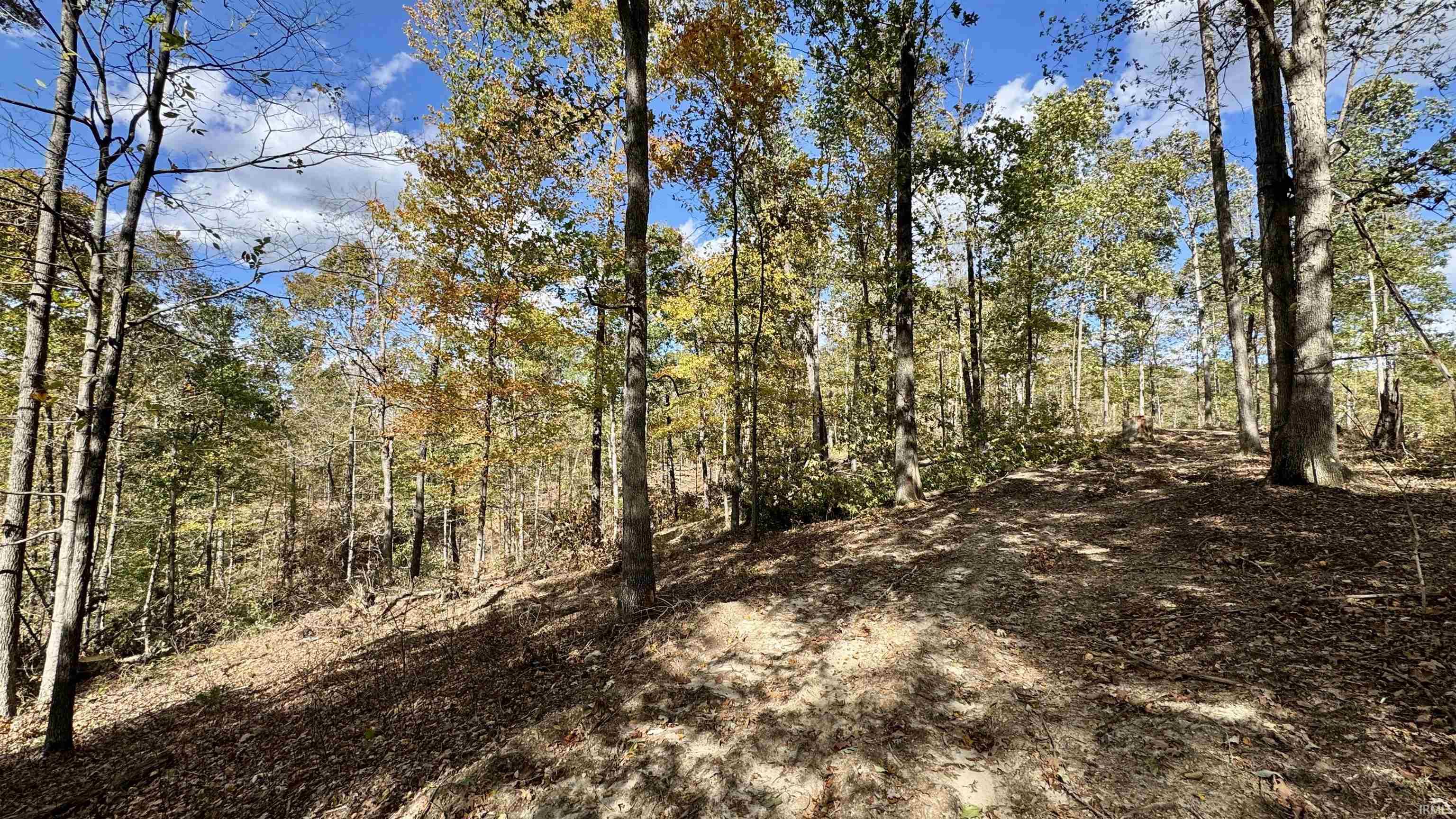 Off Cattail Road Bristow, IN 47515 - Photo 11 of 35