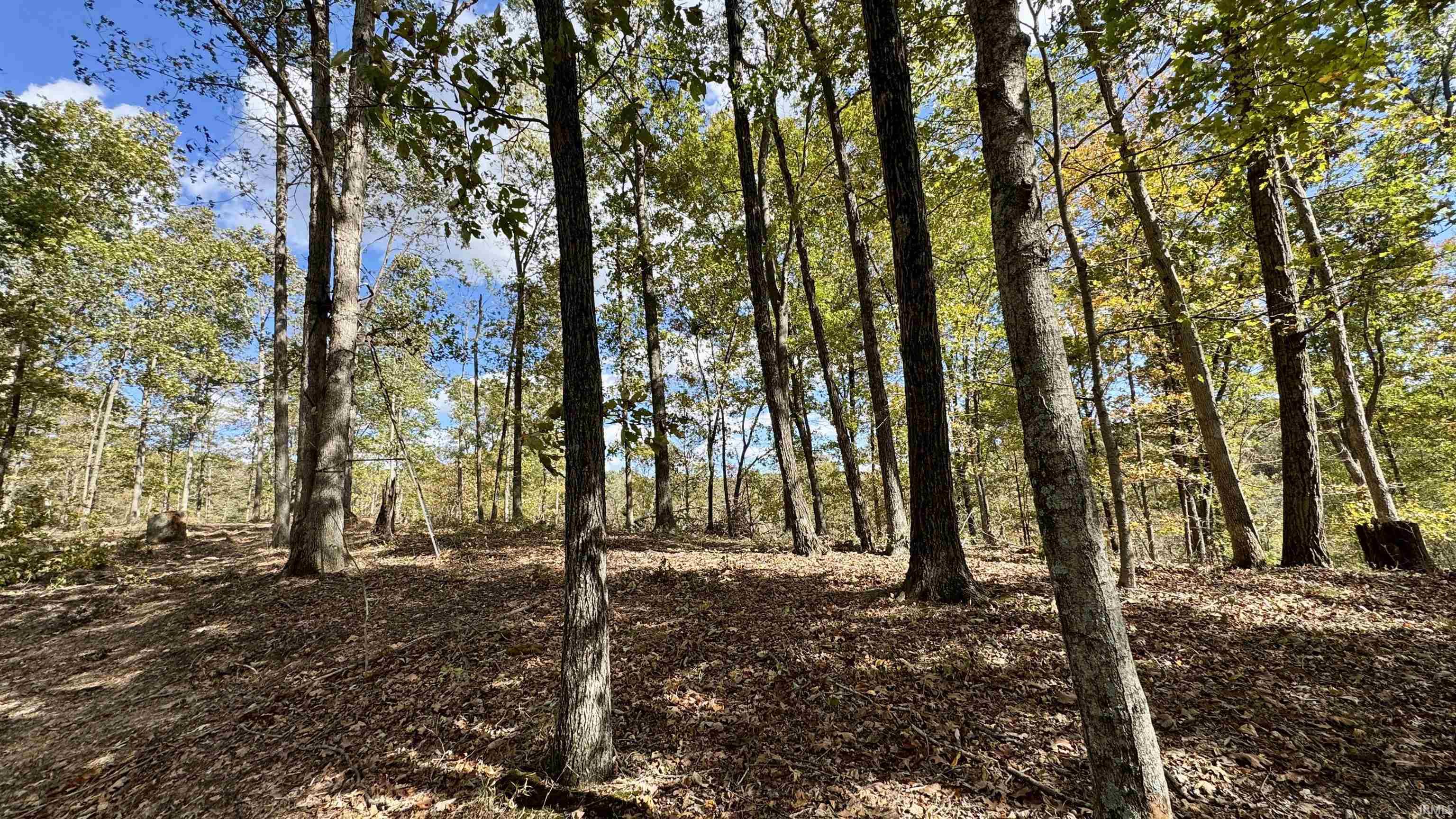 Off Cattail Road Bristow, IN 47515 - Photo 12 of 35