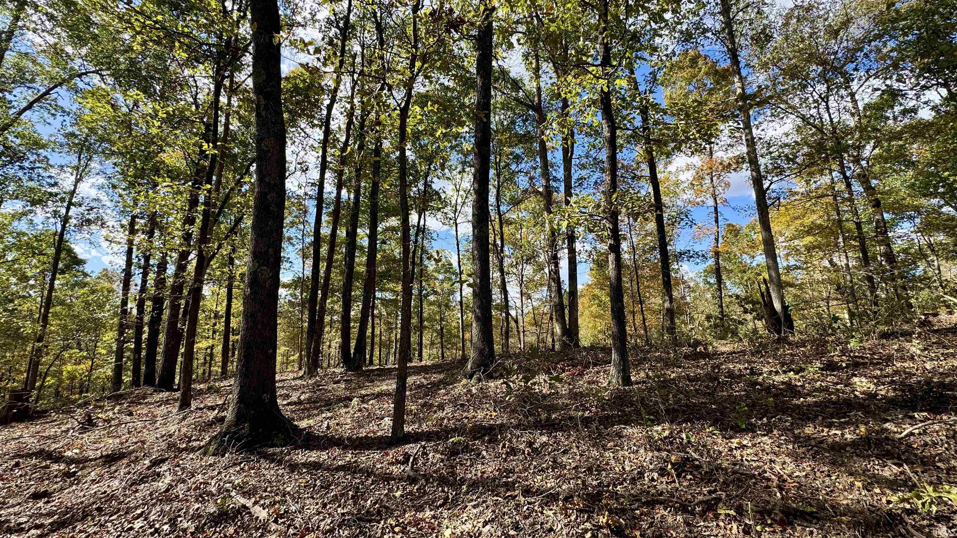 Off Cattail Road Bristow, IN 47515 - Photo 13 of 35