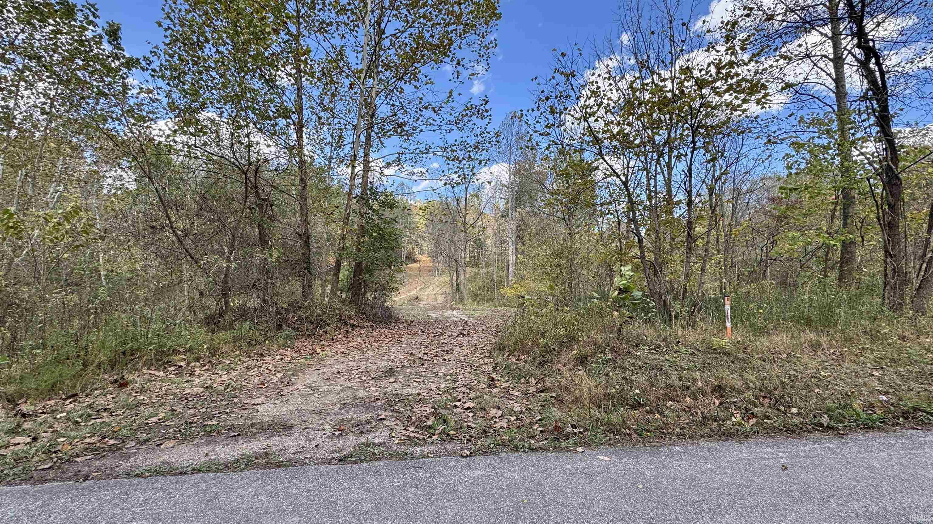 Off Cattail Road Bristow, IN 47515 - Photo 14 of 35