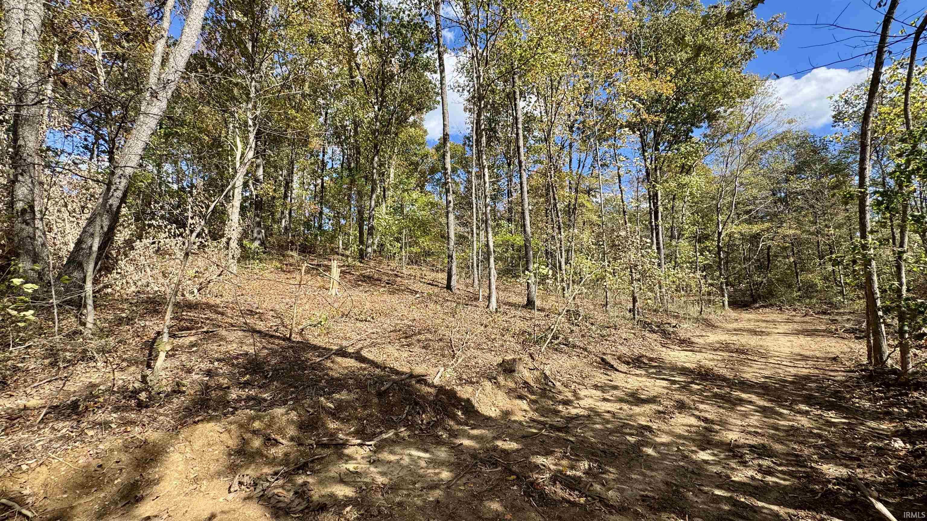 Off Cattail Road Bristow, IN 47515 - Photo 17 of 35