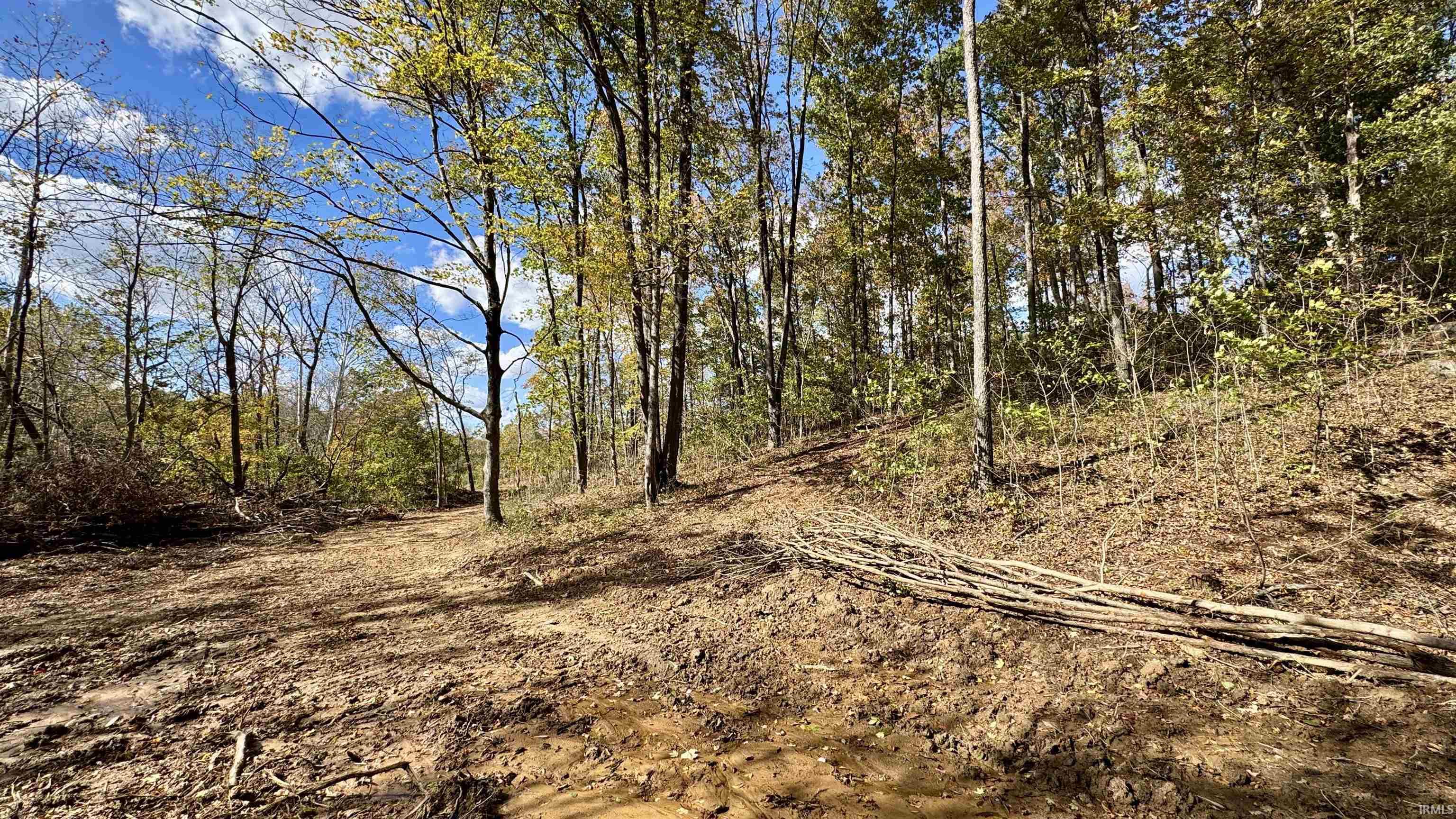 Off Cattail Road Bristow, IN 47515 - Photo 22 of 35