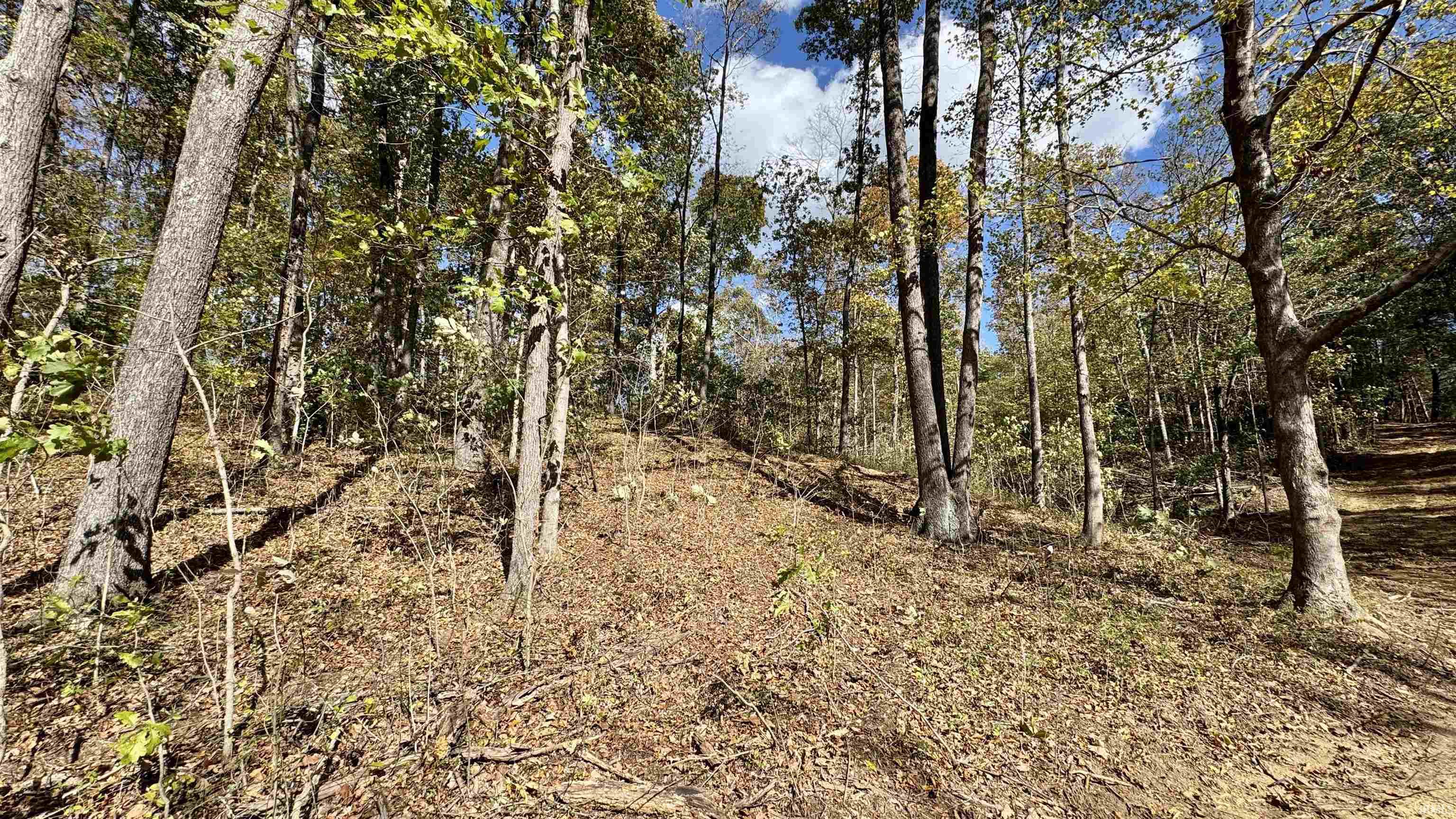 Off Cattail Road Bristow, IN 47515 - Photo 23 of 35