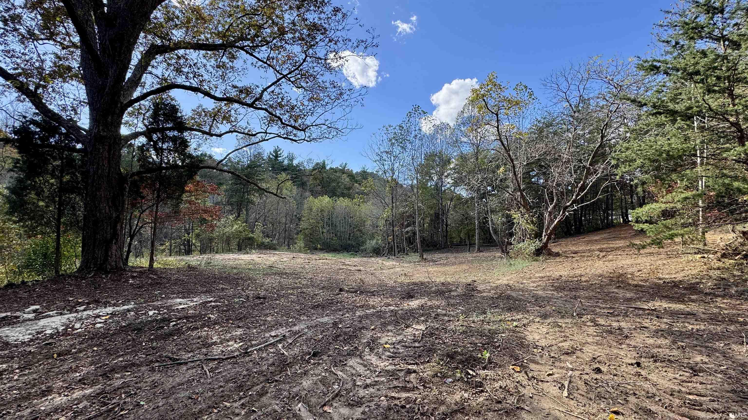 Off Cattail Road Bristow, IN 47515 - Photo 27 of 35