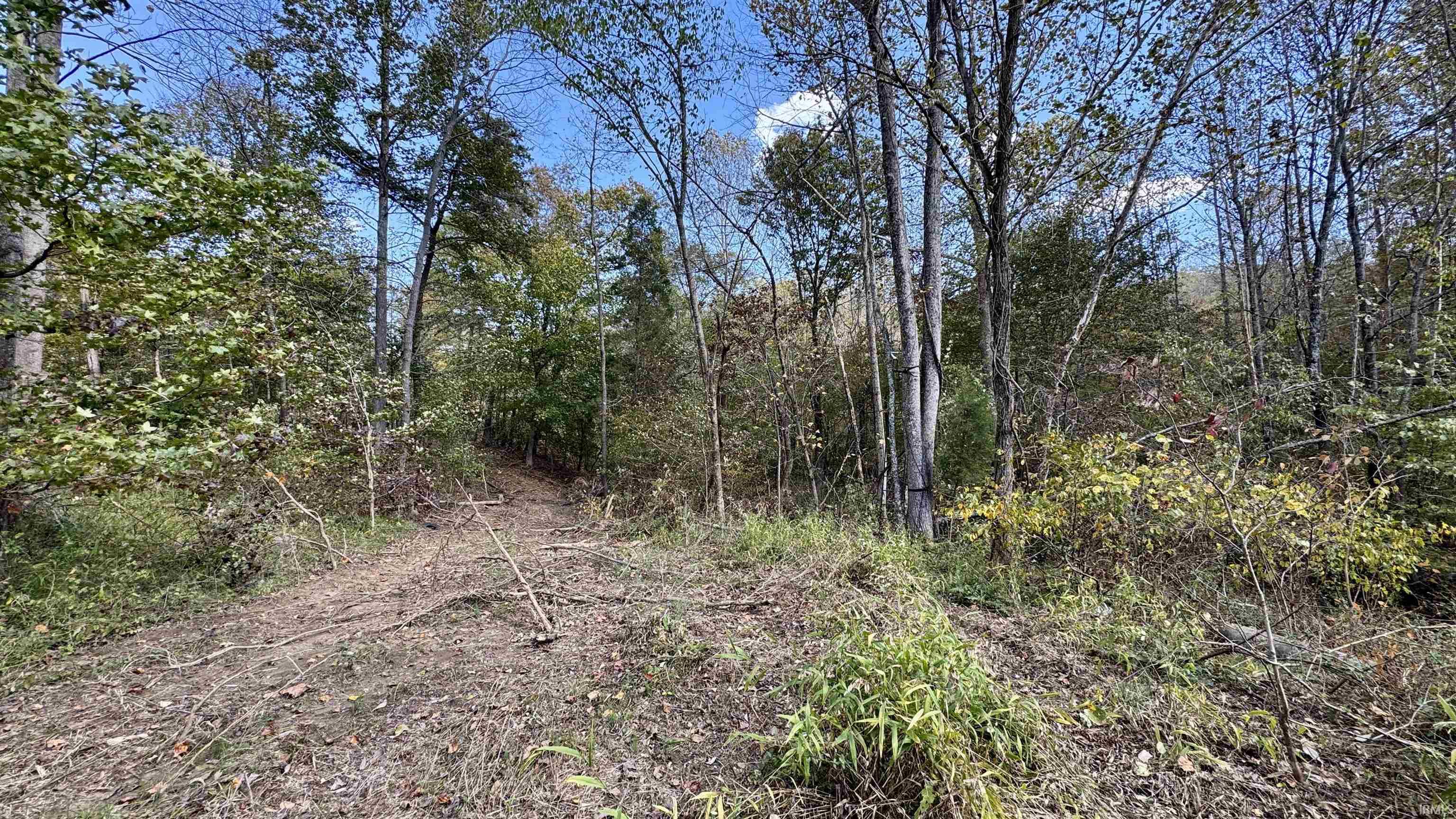 Off Cattail Road Bristow, IN 47515 - Photo 28 of 35