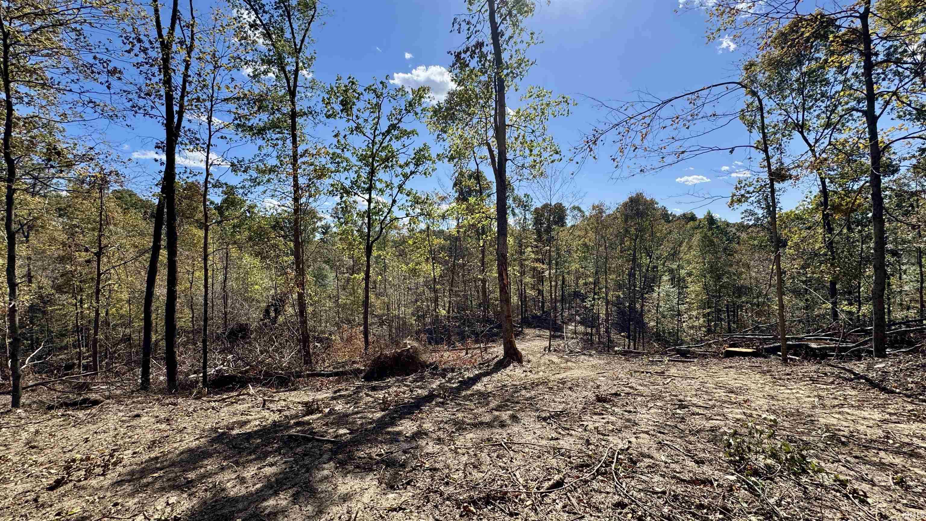 Off Cattail Road Bristow, IN 47515 - Photo 29 of 35
