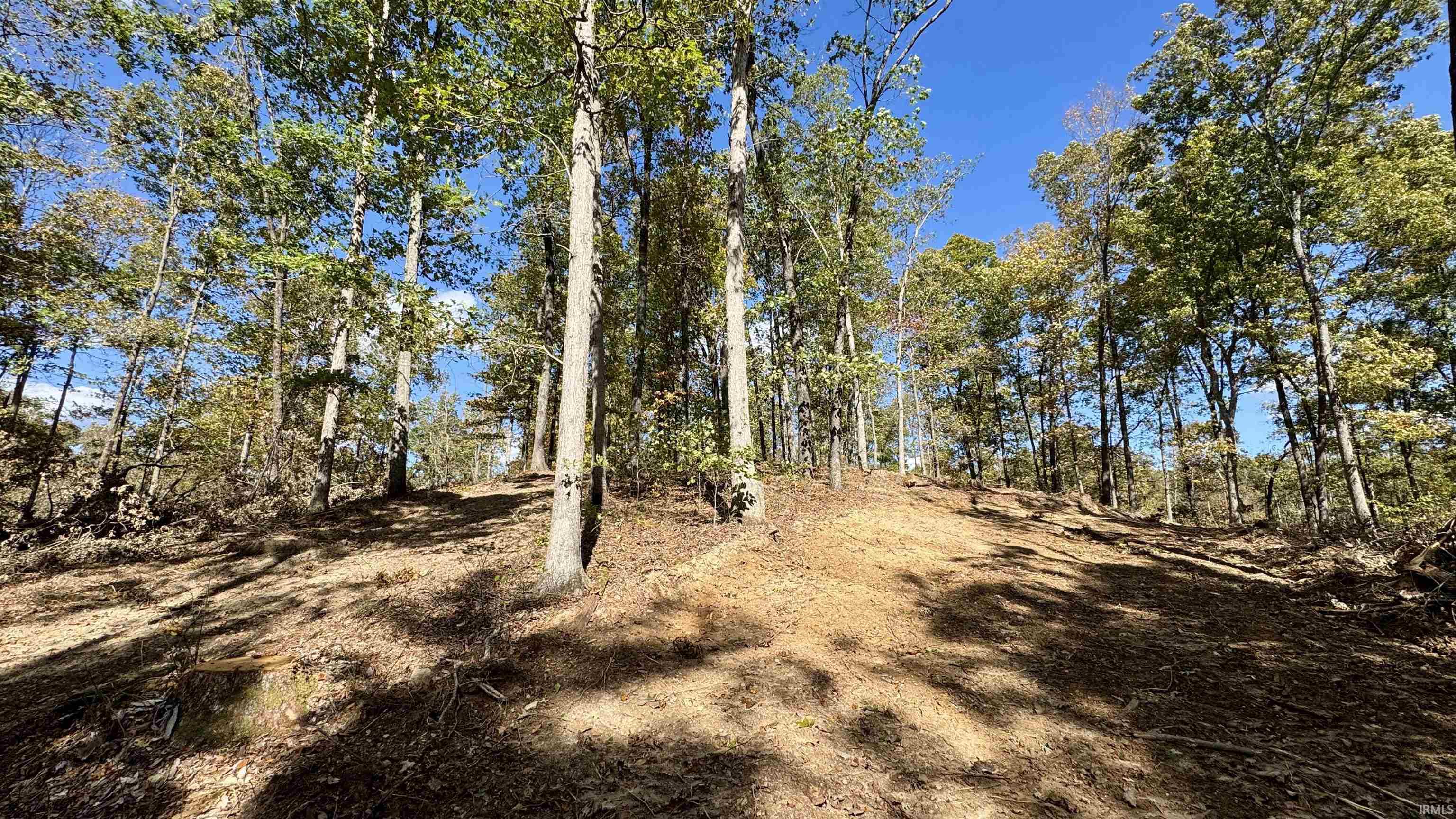 Off Cattail Road Bristow, IN 47515 - Photo 31 of 35