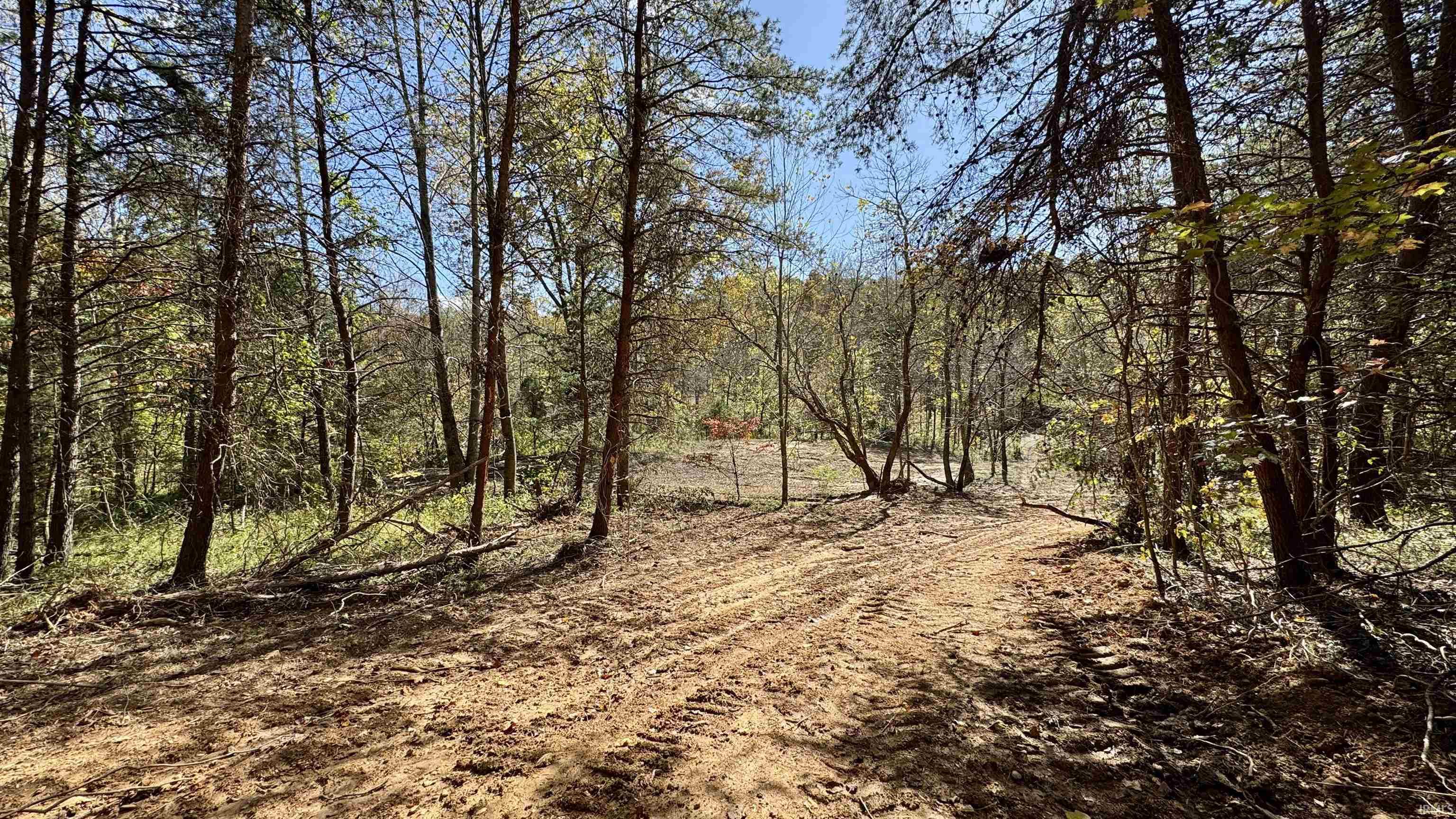 Off Cattail Road Bristow, IN 47515 - Photo 32 of 35