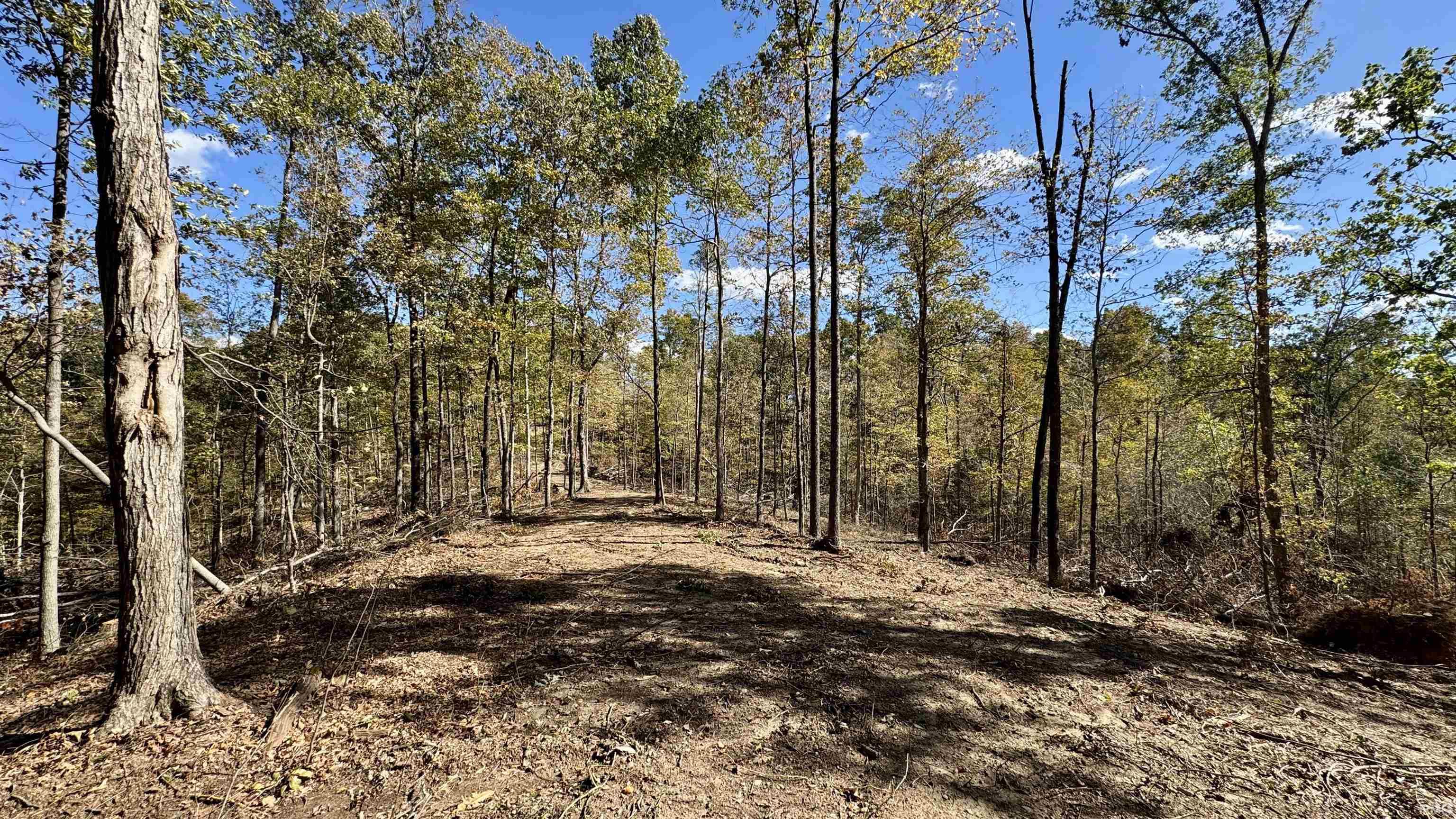 Off Cattail Road Bristow, IN 47515 - Photo 33 of 35