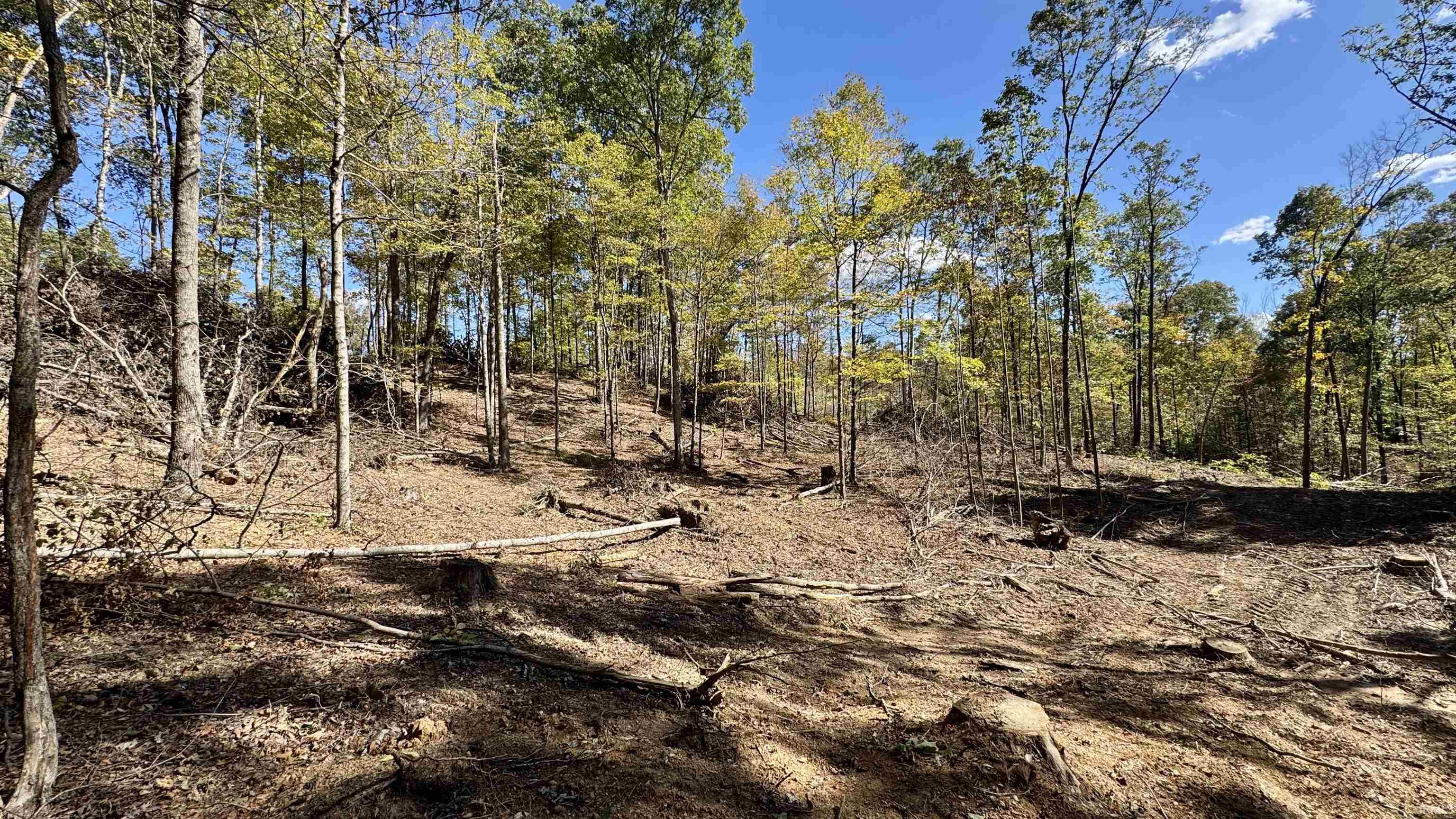 Off Cattail Road Bristow, IN 47515 - Photo 34 of 35