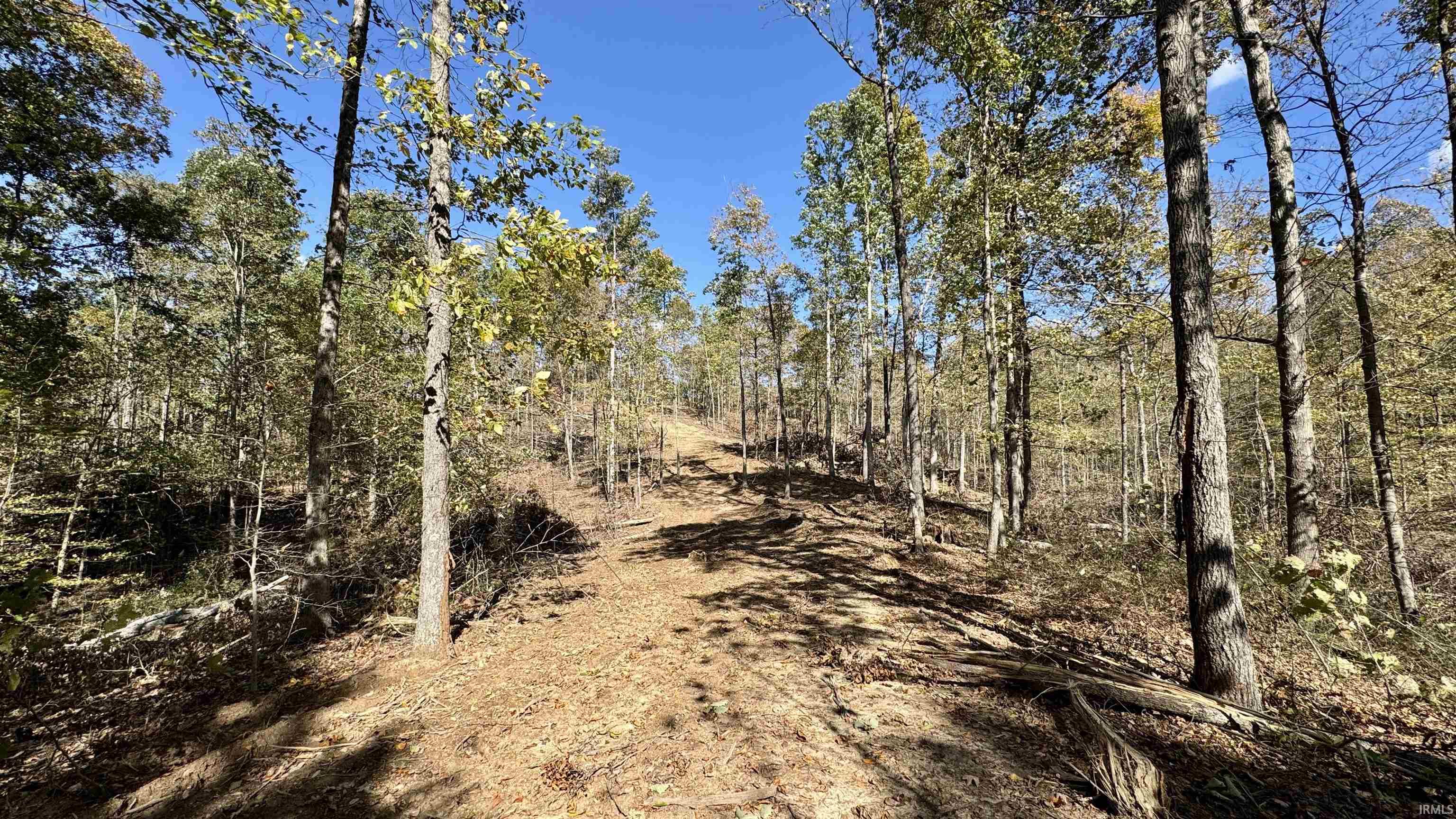 Off Cattail Road Bristow, IN 47515 - Photo 35 of 35