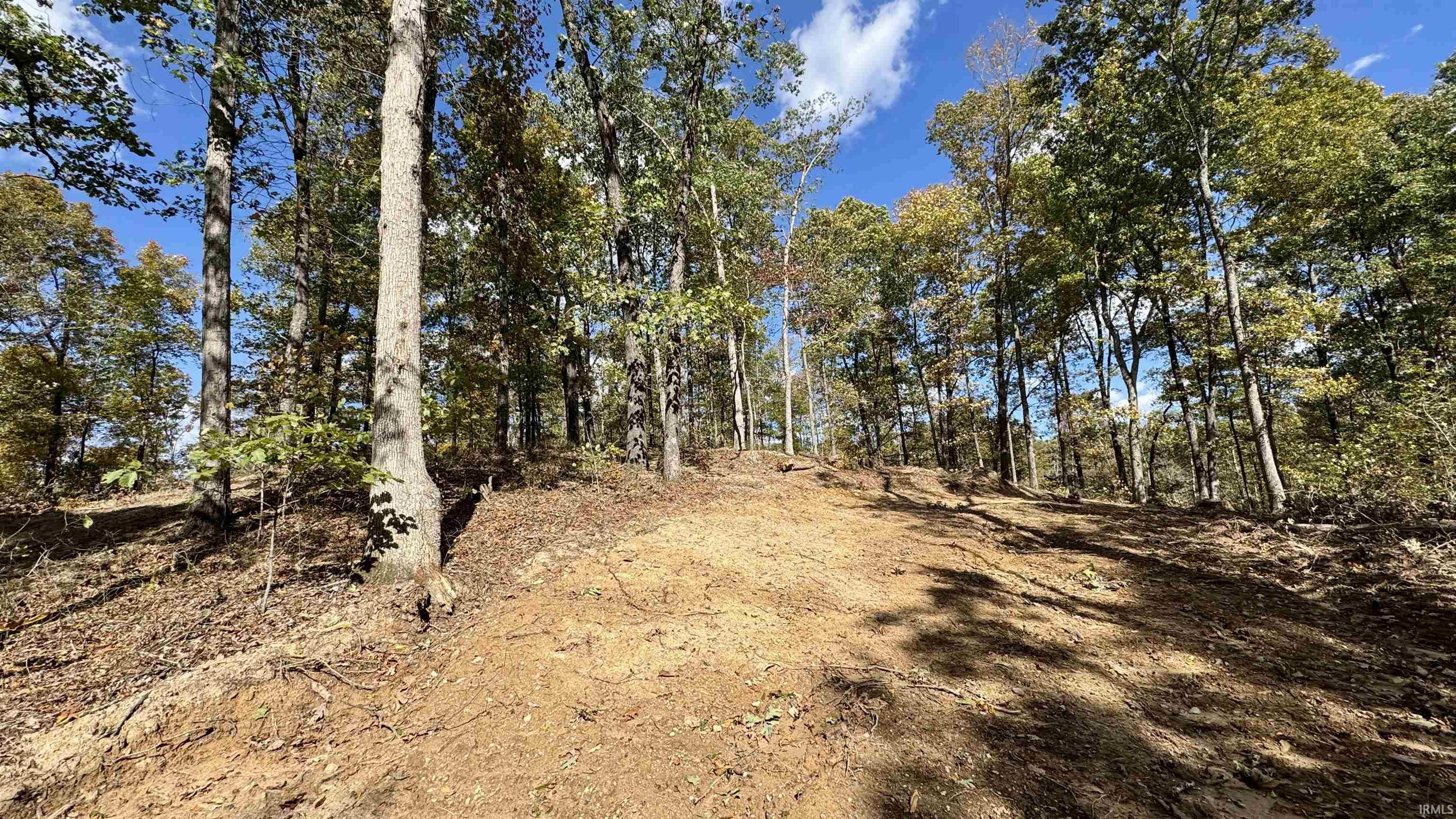 Off Cattail Road Bristow, IN 47515 - Photo 8 of 35