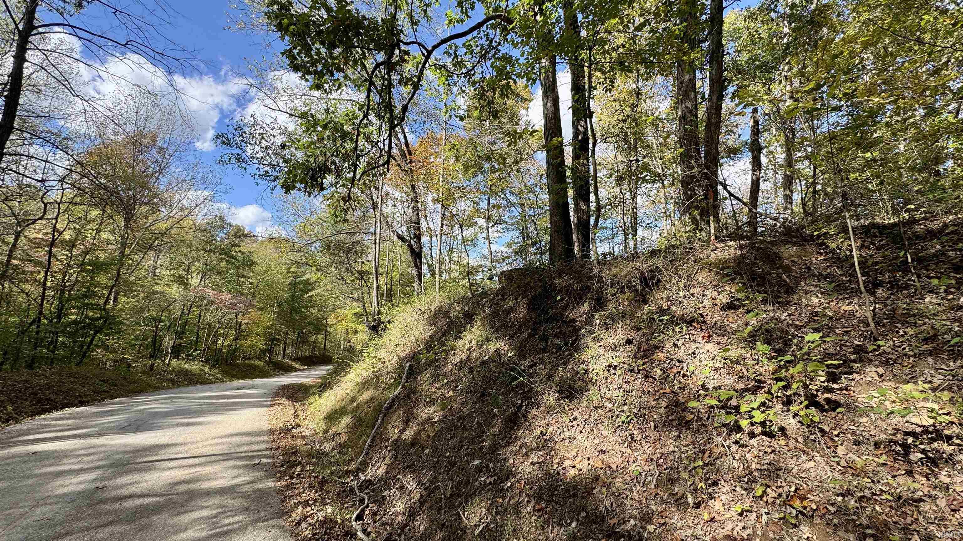 Off Cattail Road Bristow, IN 47515 - Photo 9 of 35