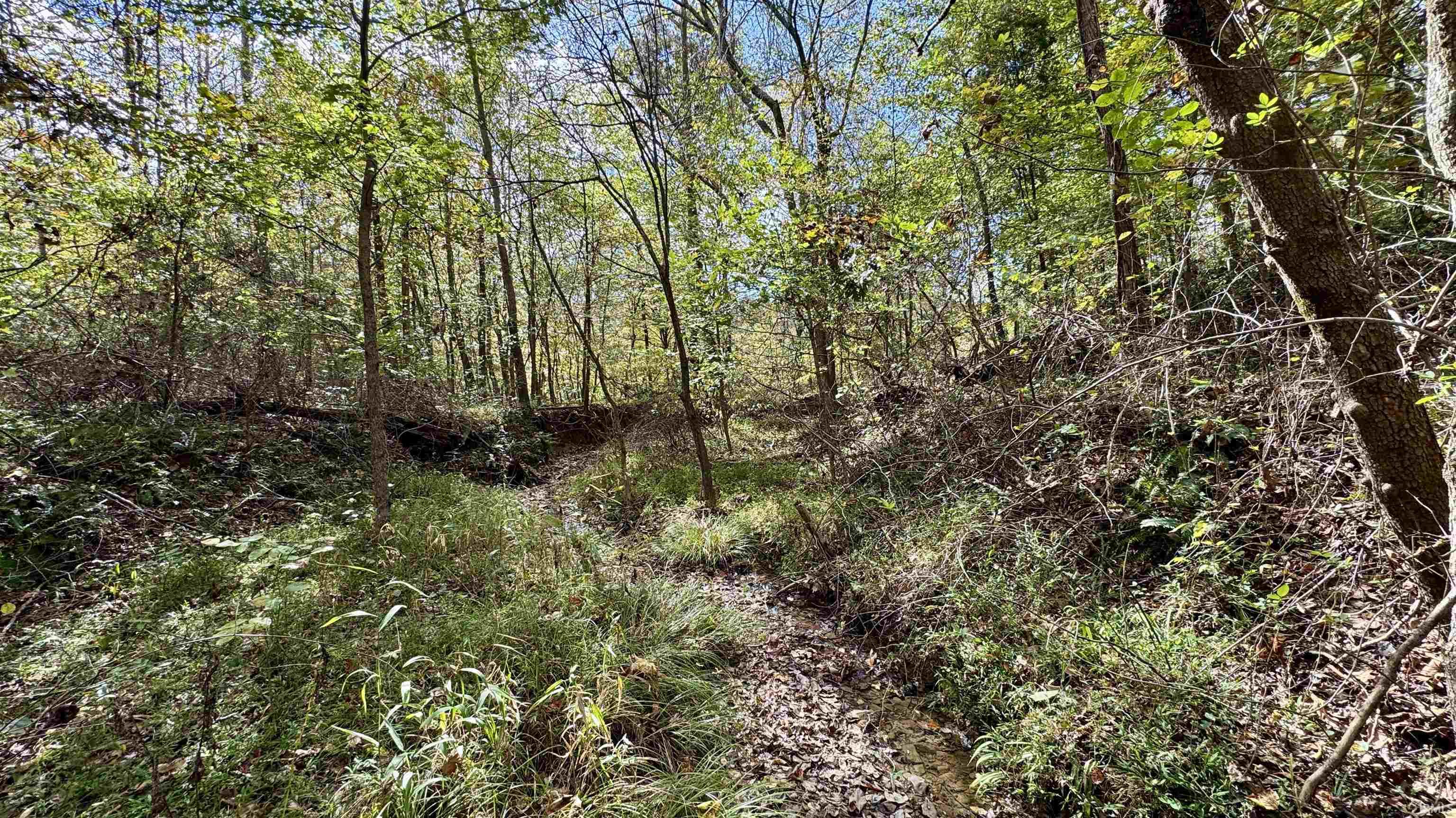 Off Cattail Road Bristow, IN 47515 - Photo 10 of 35