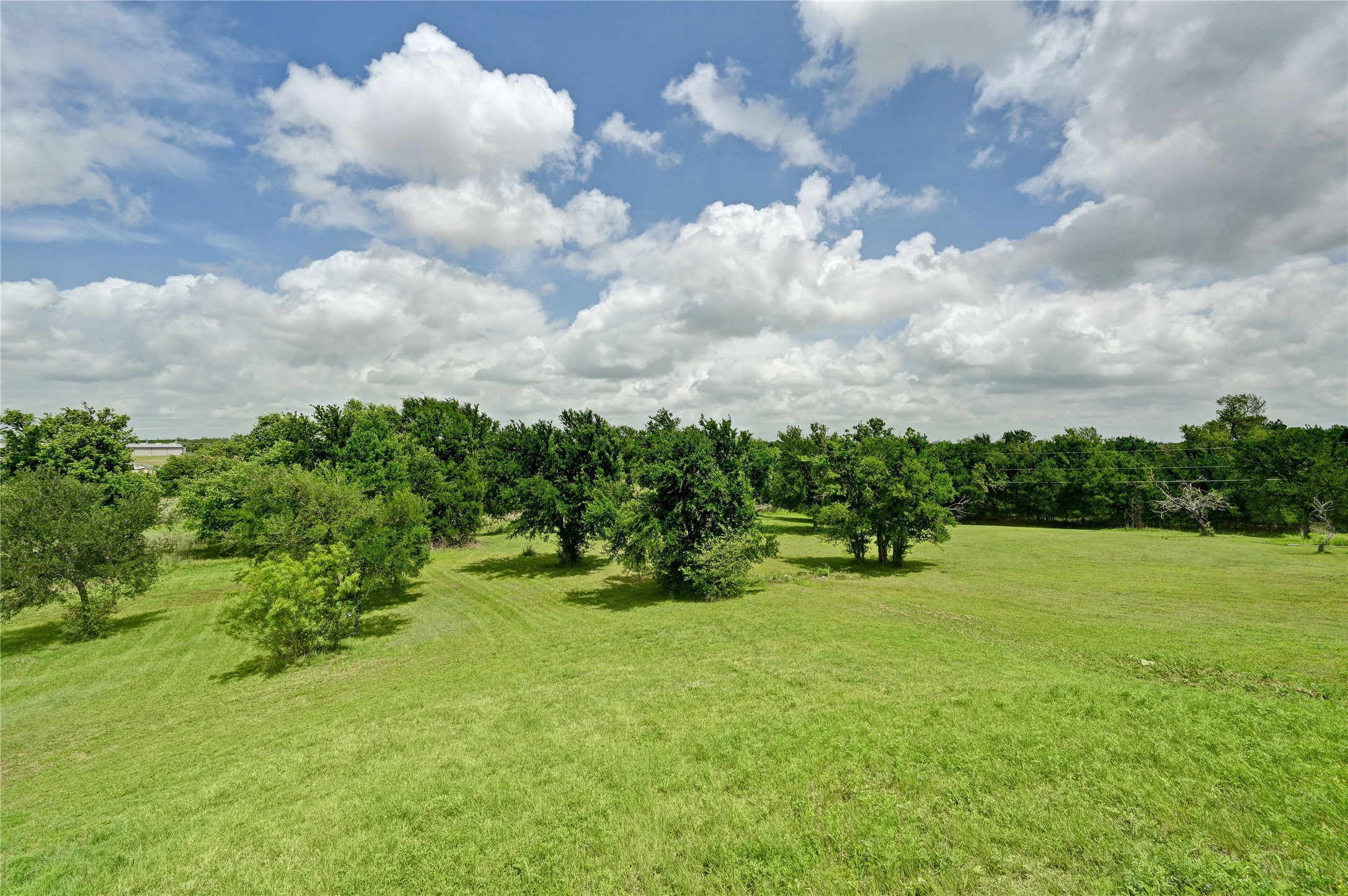 1700 Tanner Loop Taylor, TX 76574 - Photo 12 of 32 Expansive open field with scattered mature trees and a clear sky