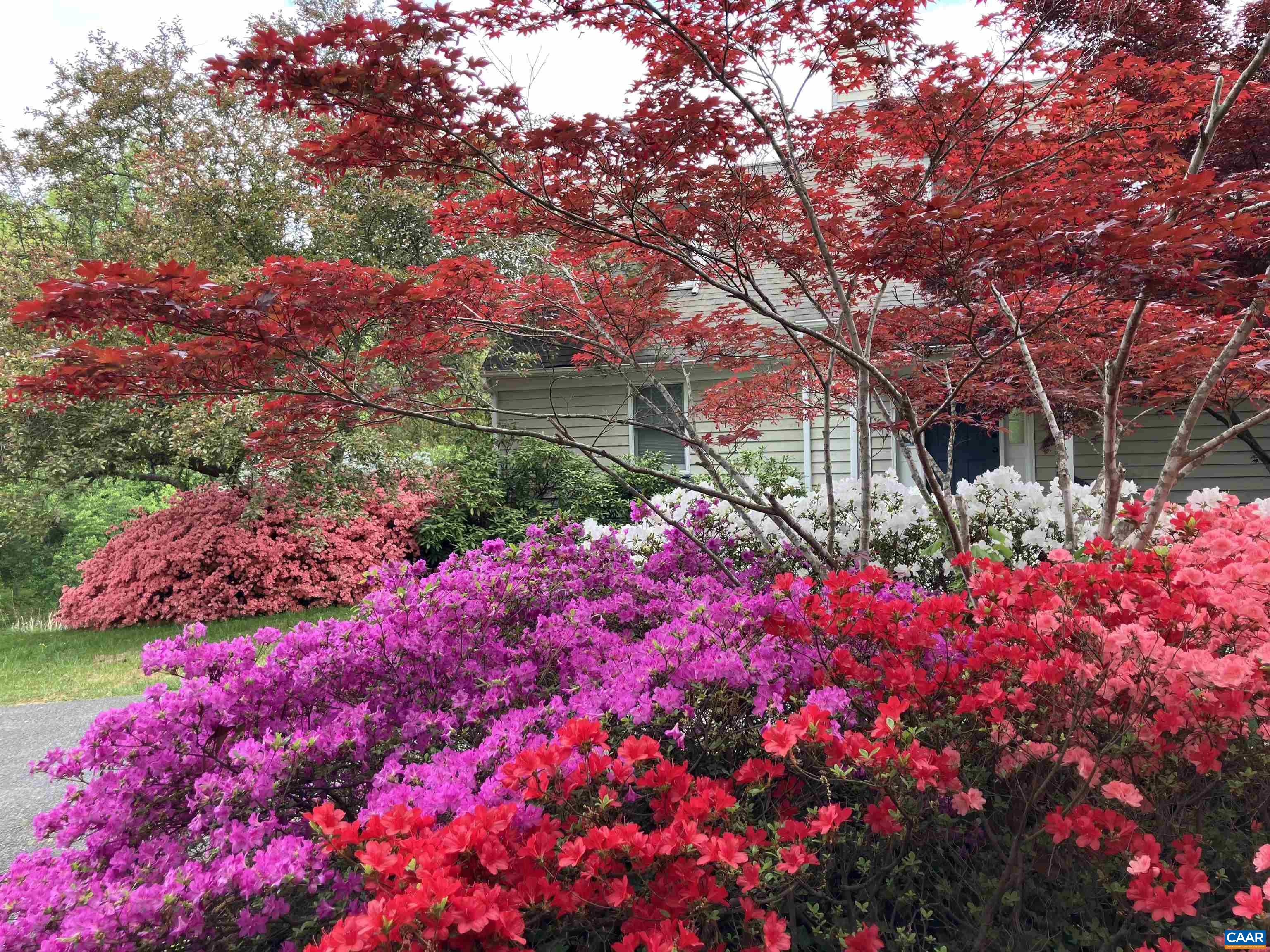 4051 Free Union Road Charlottesville, VA 22901 - Photo 38 of 45