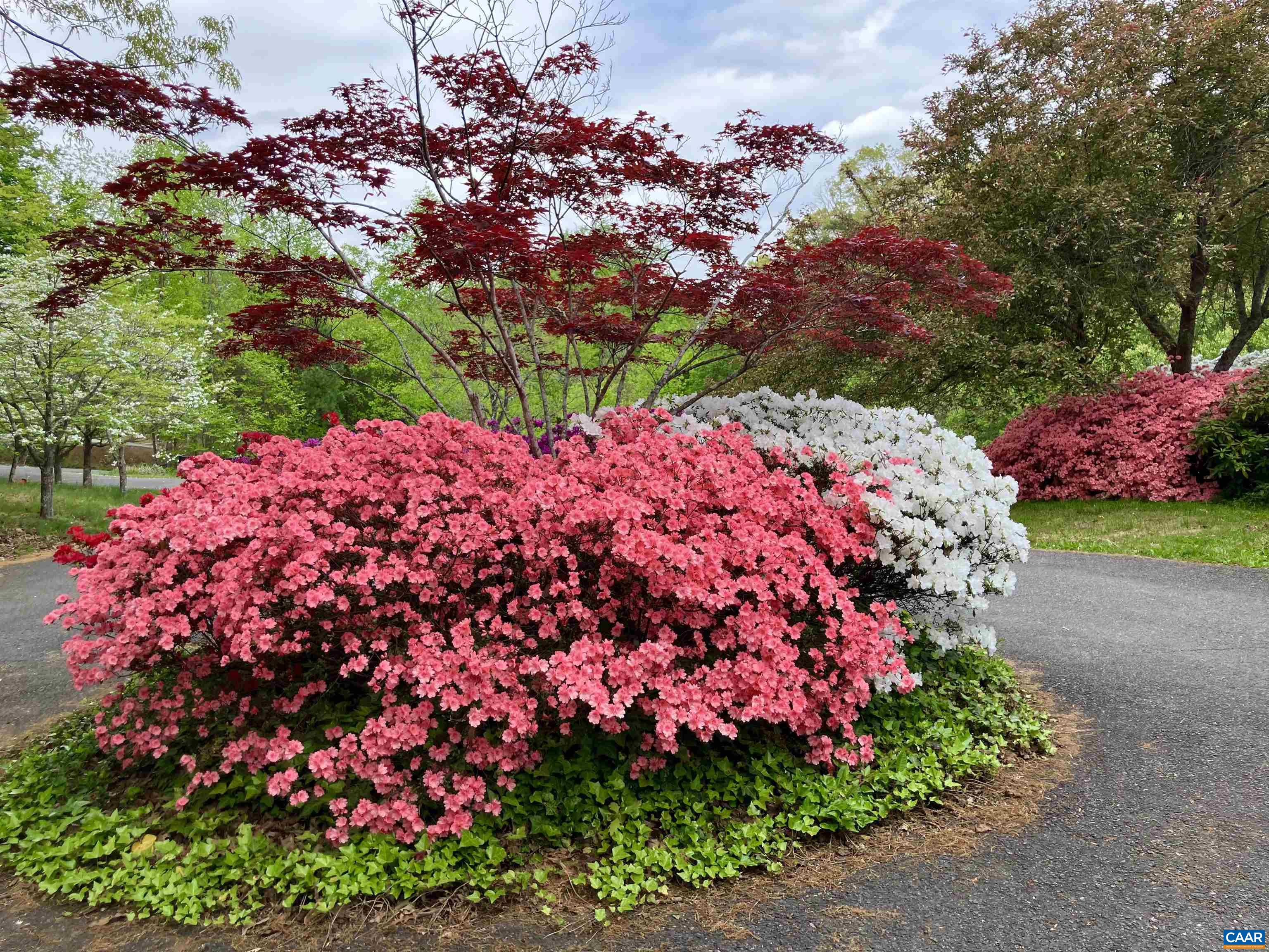 4051 Free Union Road Charlottesville, VA 22901 - Photo 6 of 45