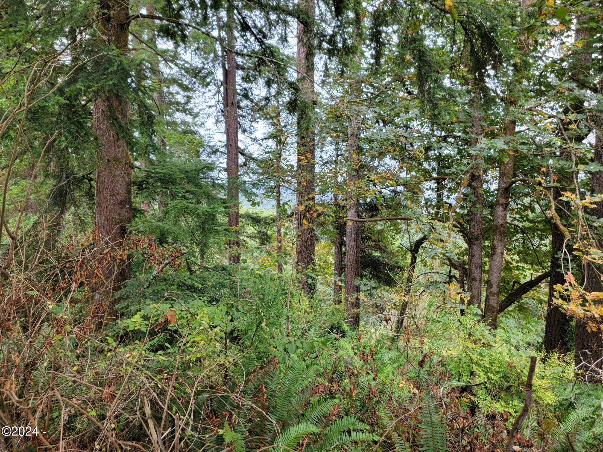 1641 B Criteser Loop Toledo, OR 97391 - Photo 3 of 3 woods