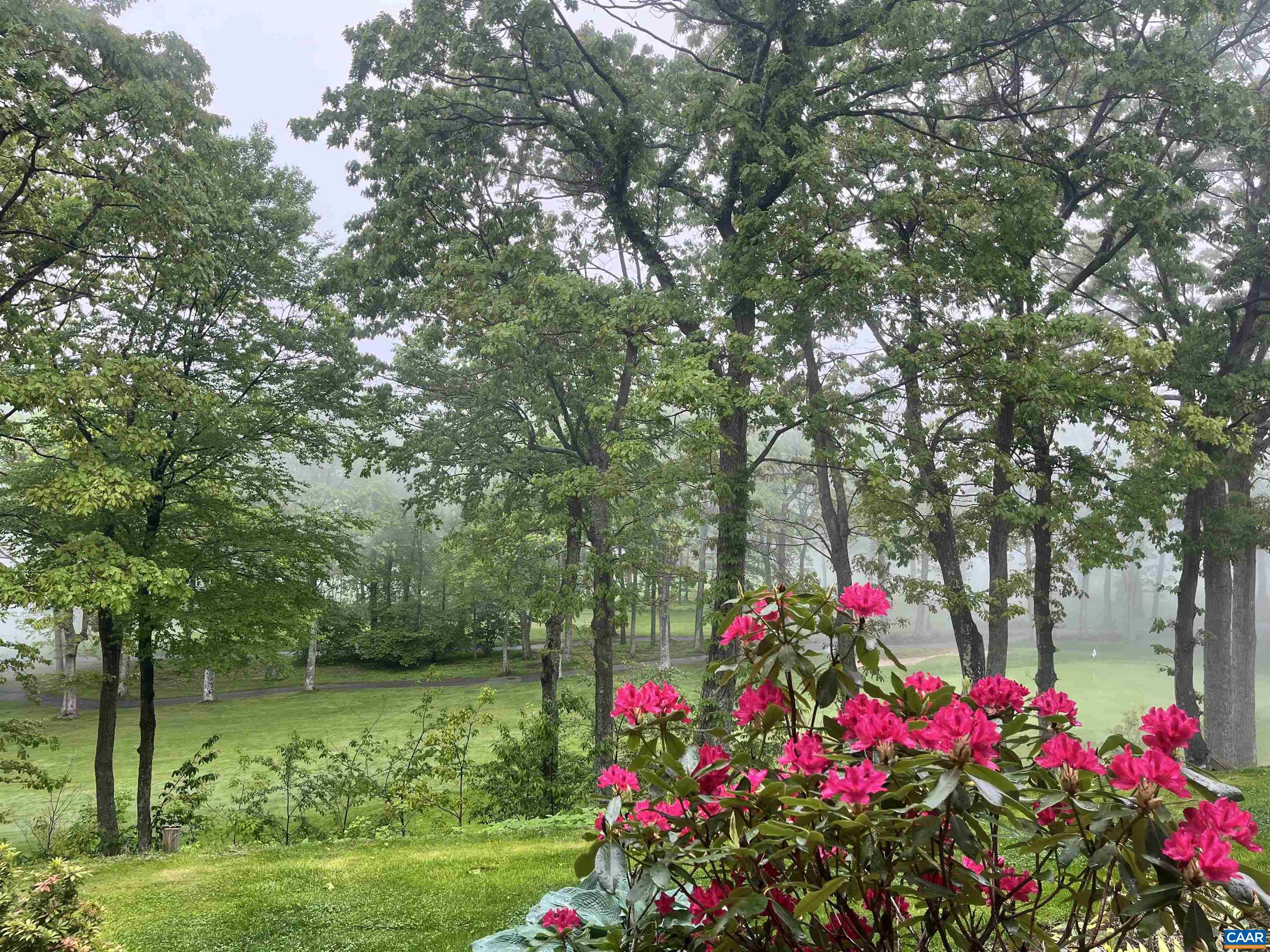 2052 Stone Ridge Wintergreen, VA 22967 - Photo 7 of 17