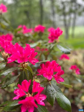 $149,000 | 2052 Stone Ridge, Wintergreen, VA 22967