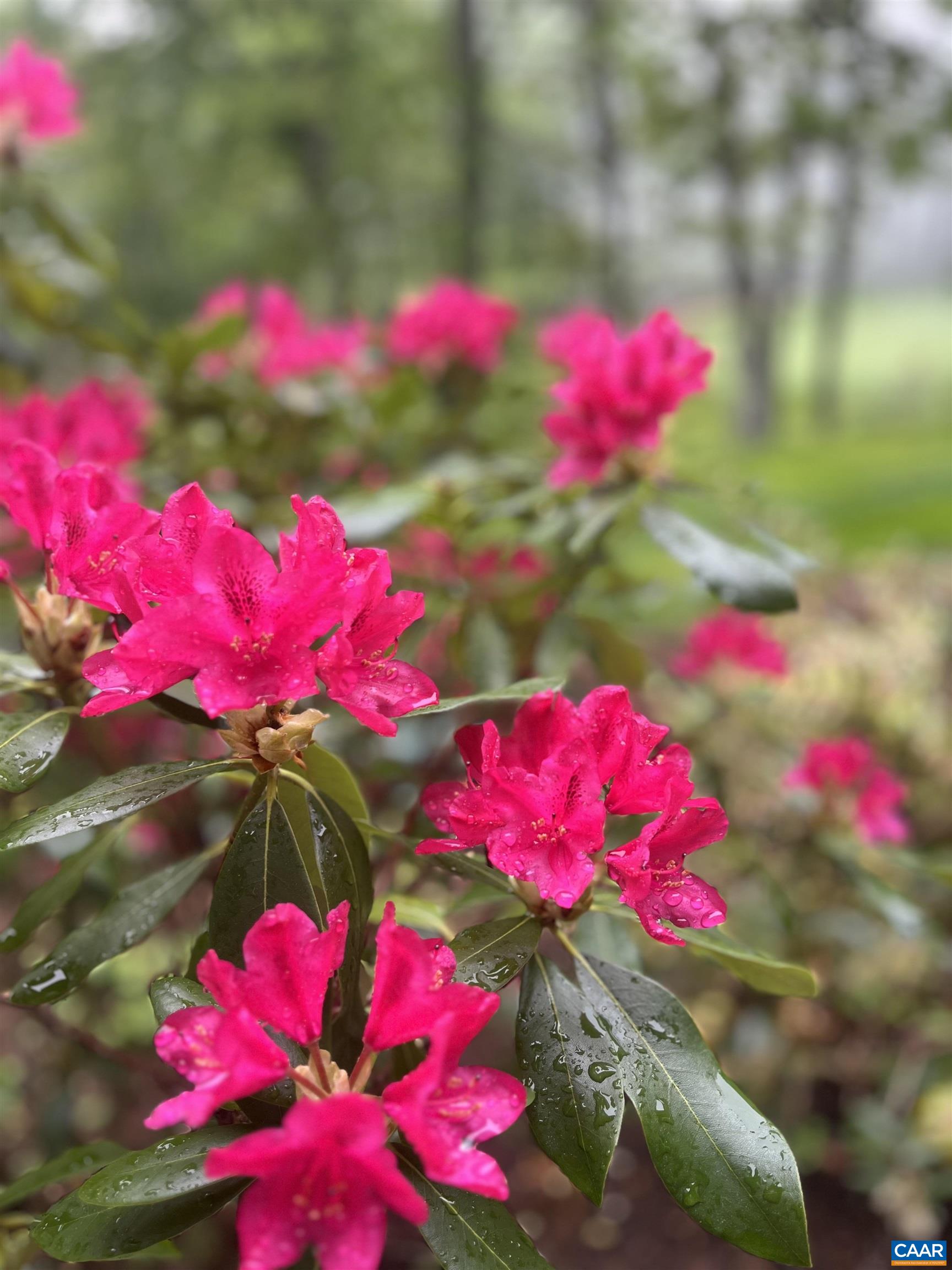 2052 Stone Ridge Wintergreen, VA 22967 - Photo 8 of 17