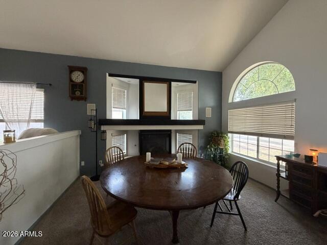 15746 West Calavar Road Surprise, AZ 85379 - Photo 11 of 12 IMG_0452